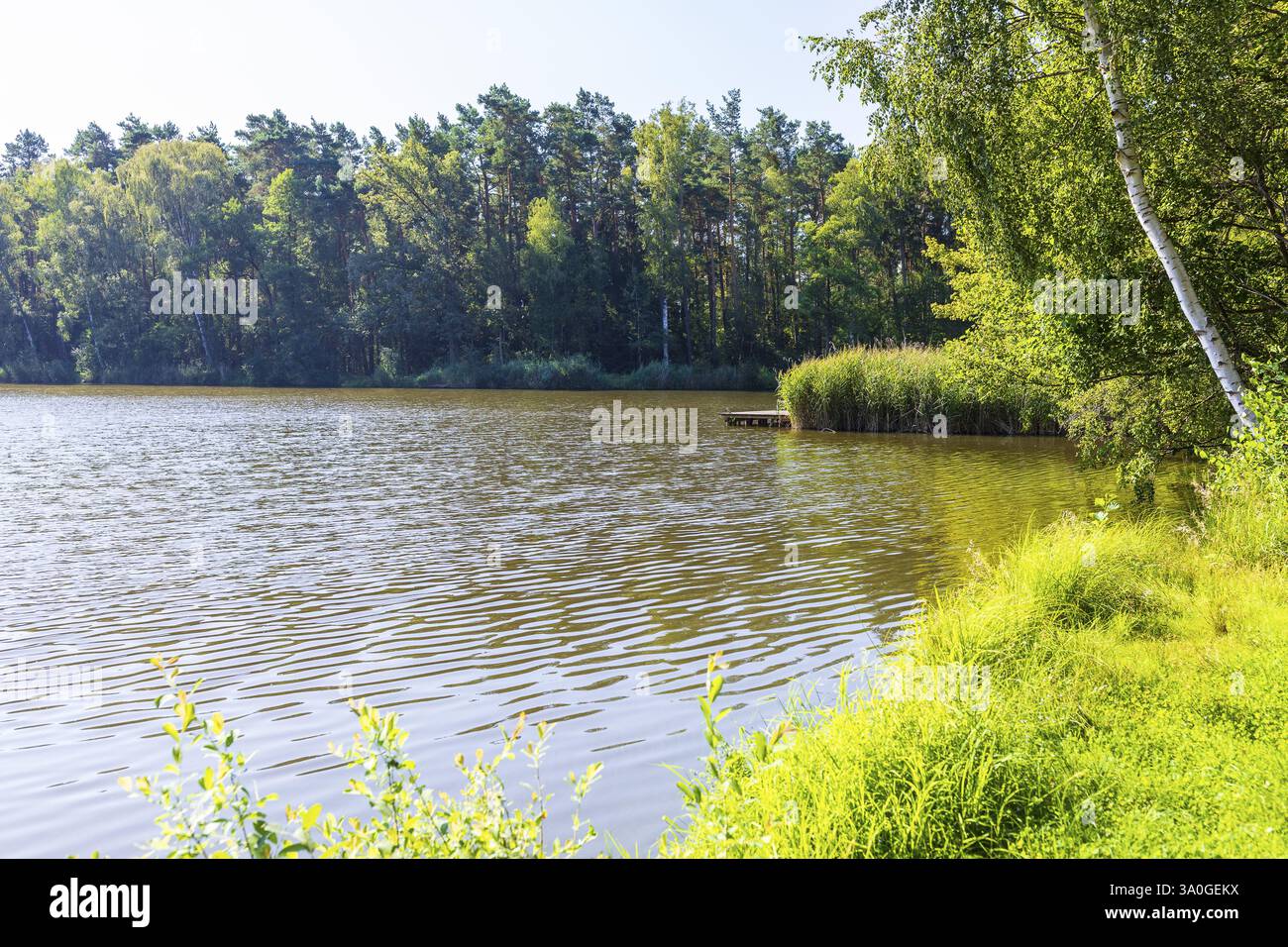 Kieperteich, Koenigsbruecker Heide, Sassonia, Germania, Europa Foto Stock
