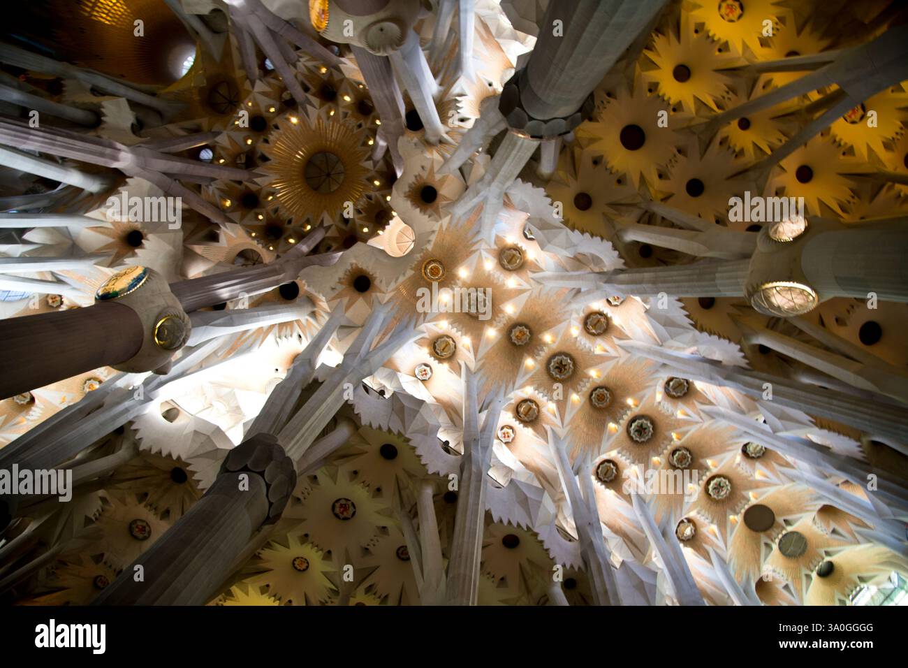 Barcellona,Catalogna,Spagna,architettura,edifici,edifici di Gaudi,Scene di strada,la Sagrada Familia Gaudí Cathedral Exteriors and Internals Foto Stock