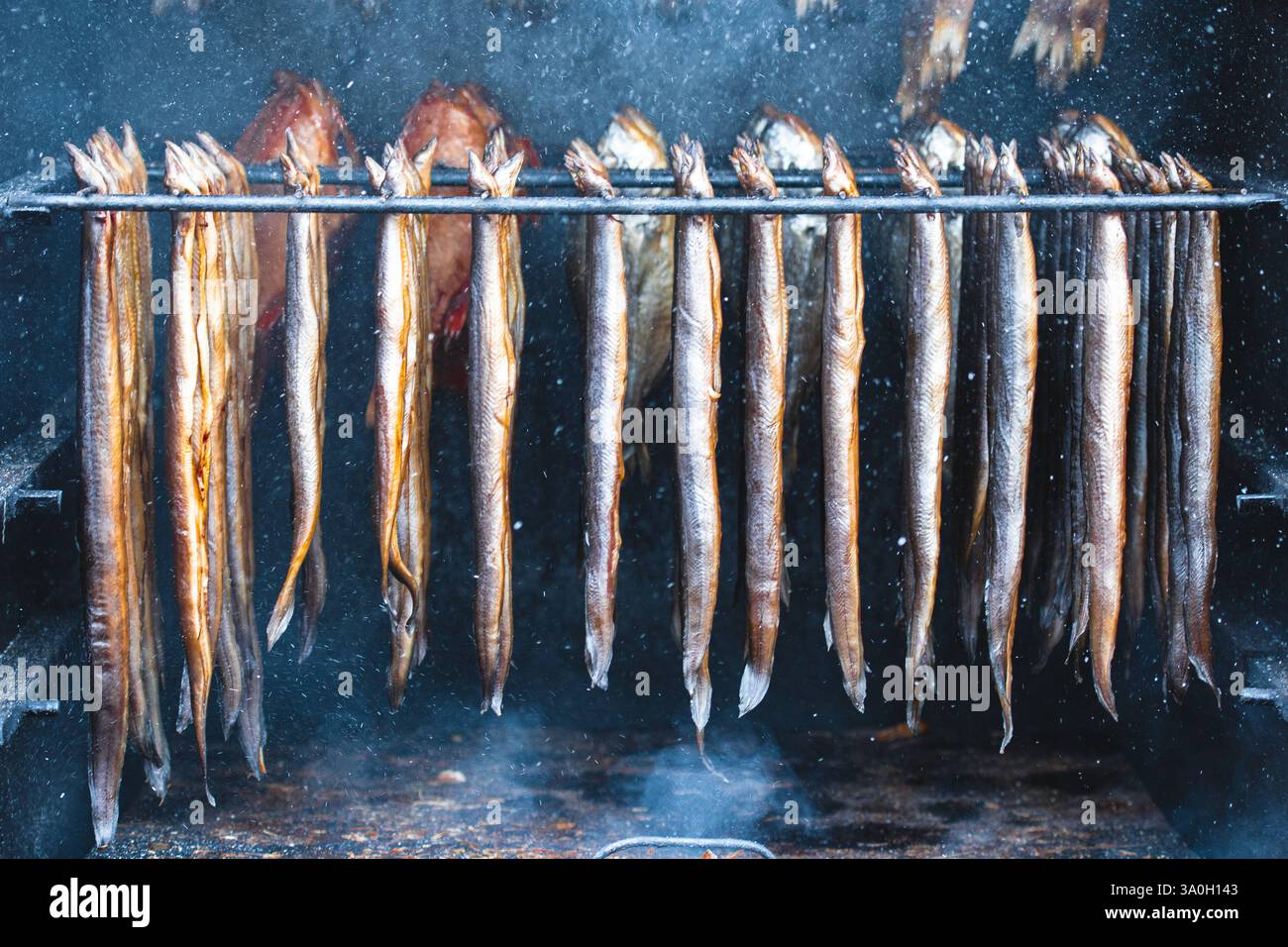 Appendere e fumare anguille in un mercato di Street food con trucioli di legno duro in un fumatore e pronti da mangiare Foto Stock