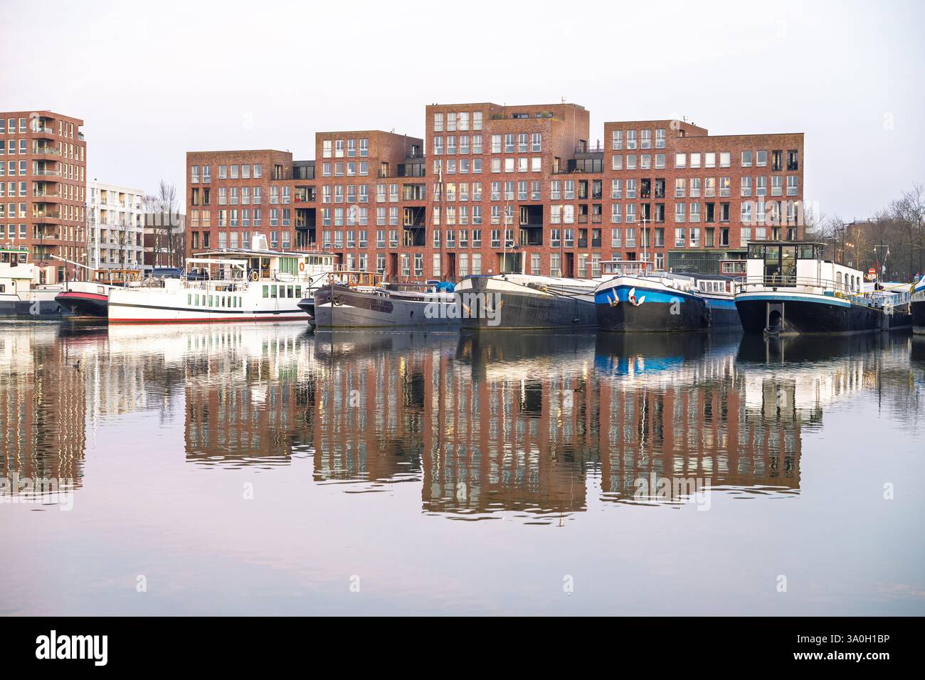 Moderni edifici residenziali e barche ormeggiate con riflessi sulle acque calme di Ijburg, Amsterdam Foto Stock