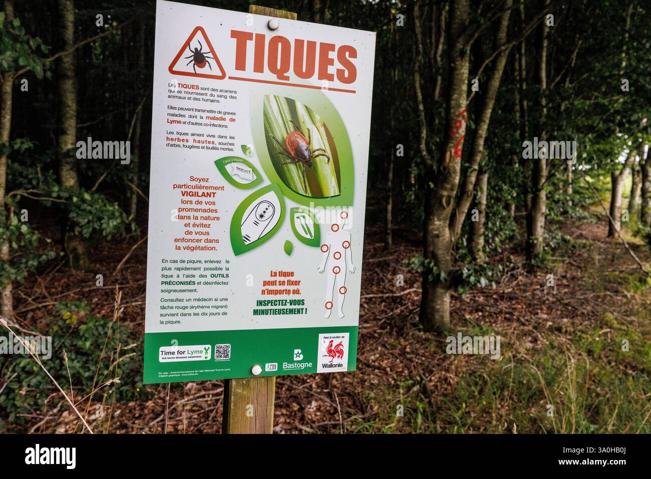 Cartello segnaletico per zecche, Peace Woods, Belgio Foto Stock