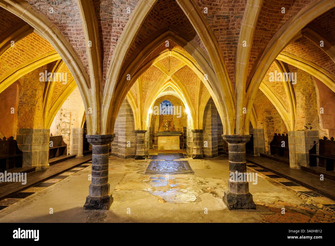 Cripta normanna, Basilica, Saint-Hubert, Vallonia, Belgio Foto Stock