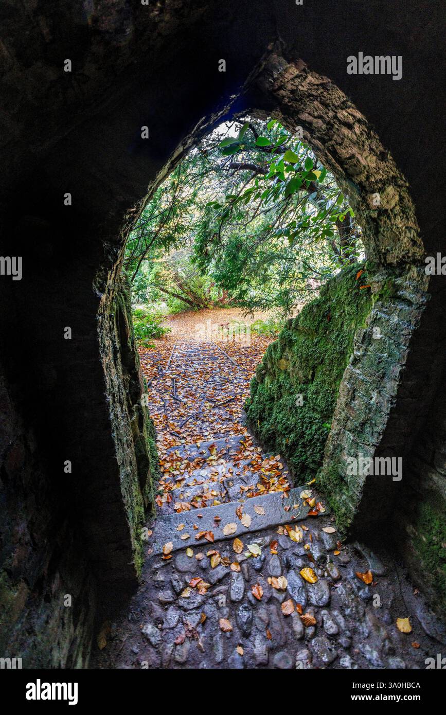 Ice House, Florencecourt, Co Fermanagh, Irlanda Foto Stock