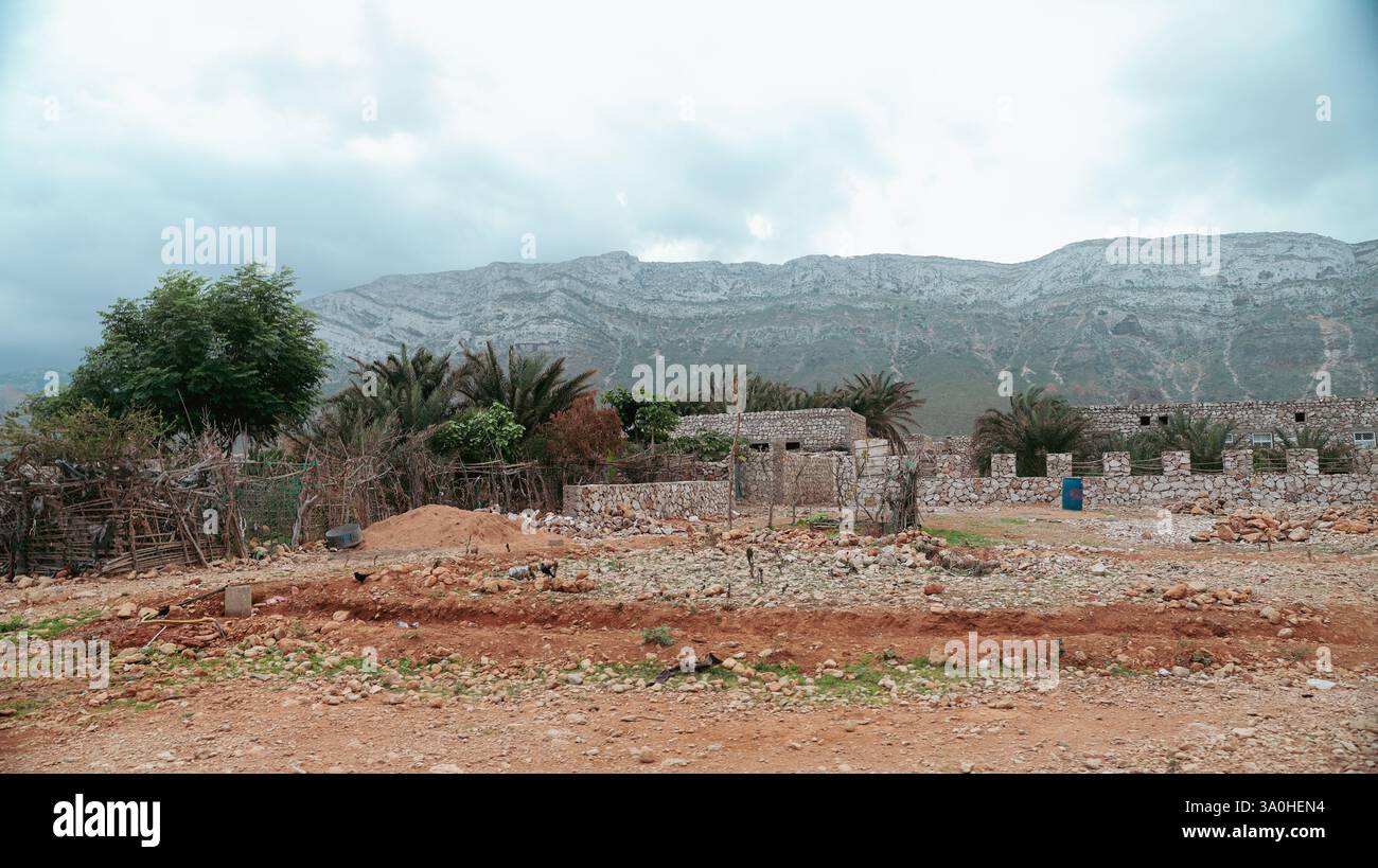 Socotra mette in mostra montagne mozzafiato e vegetazione lussureggiante in un ambiente sereno, mettendo in risalto la diversità ecologica unica delle isole. Foto Stock