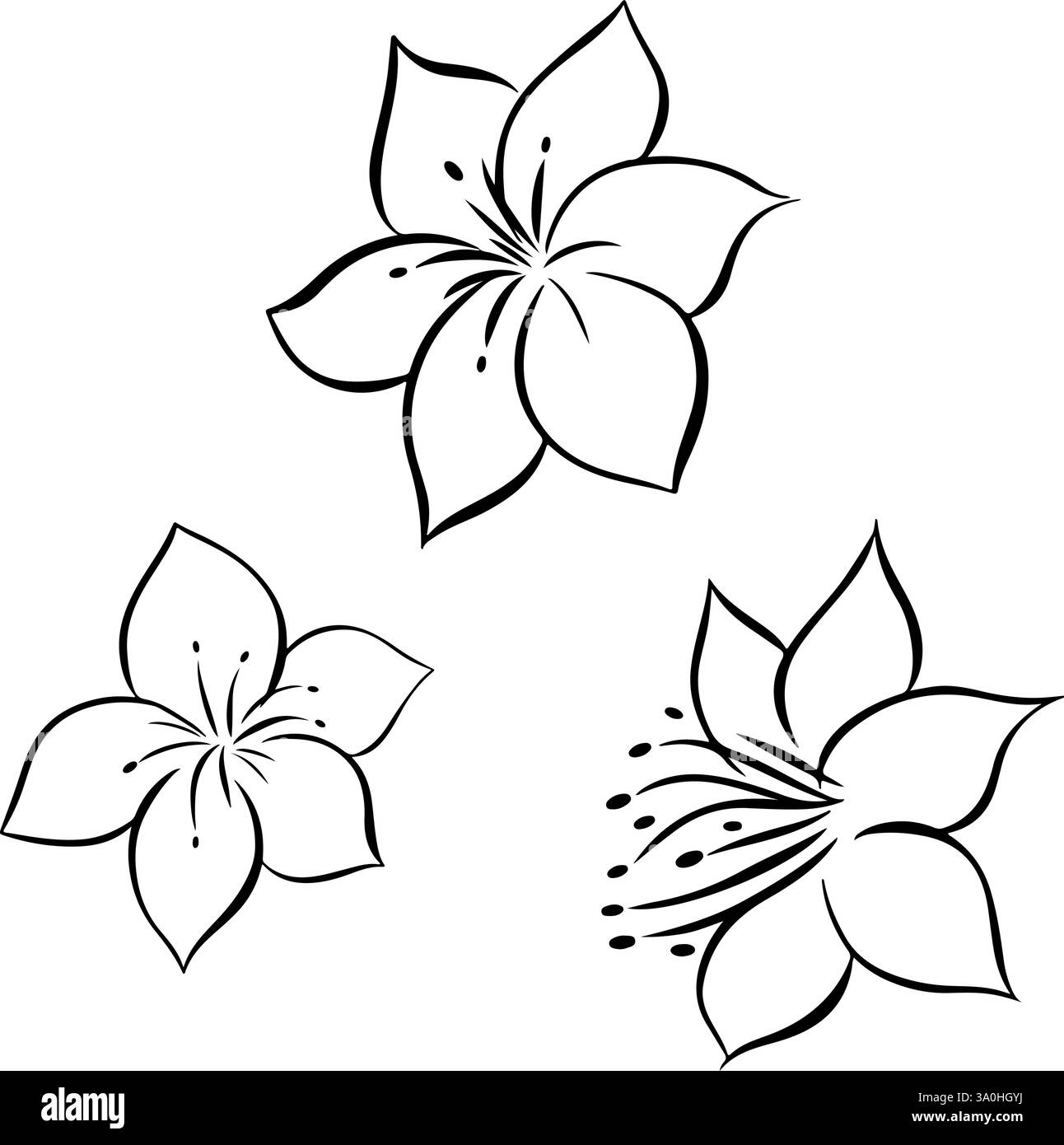 Set di fiori di agrumi. Vettore di inchiostro a linee grafiche Neroli fiori isolati. Illustrazione vettoriale disegnata a mano in stile vintage. Illustrazione Vettoriale