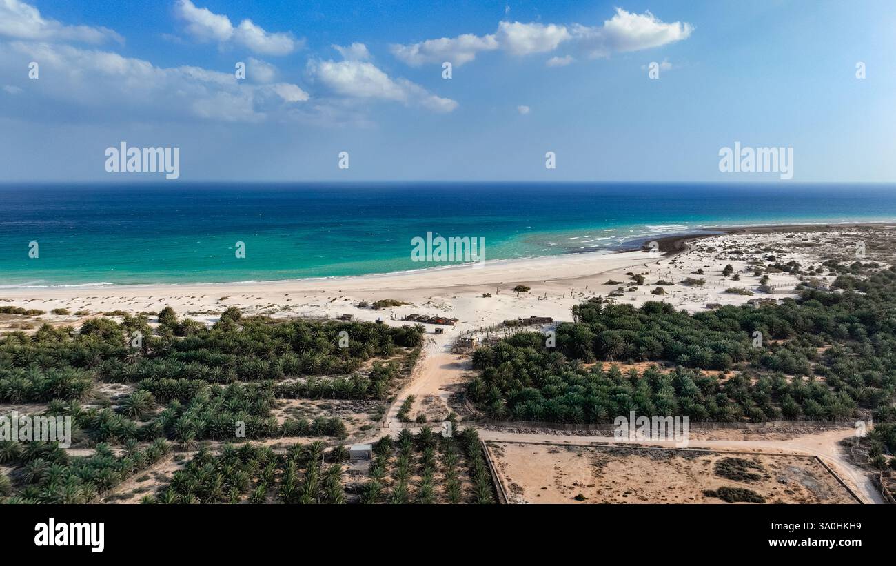 Le viste mozzafiato della costa di Socotras mostrano spiagge sabbiose, vegetazione variegata e un ambiente sereno sotto i cieli luminosi. Foto Stock