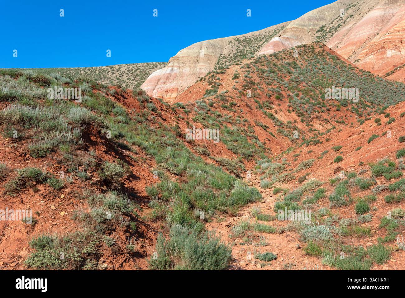 Bolshoe Bogdo. Regione di Astrakhan, Russia Foto Stock