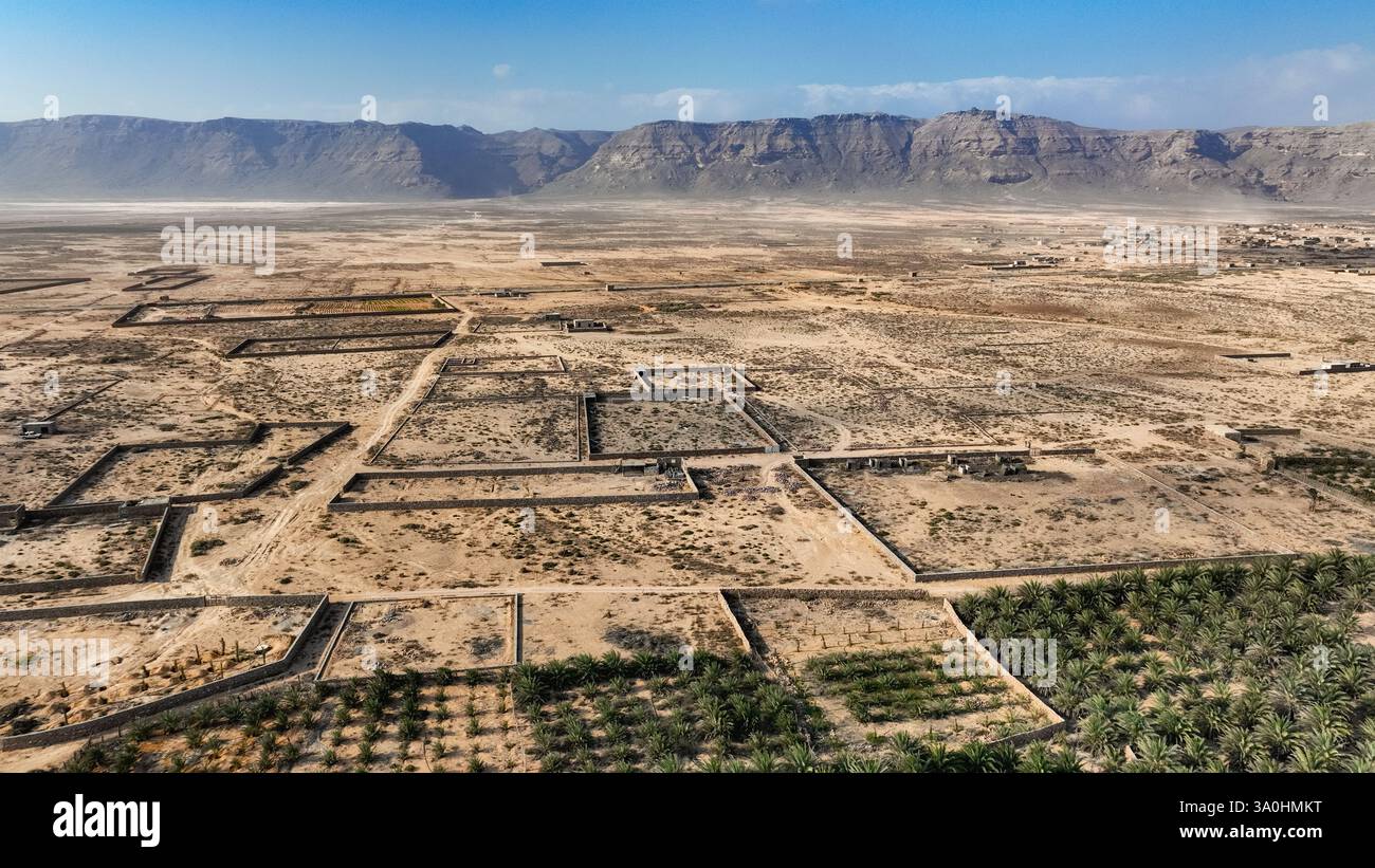 Ampie vedute delle isole Socotra paesaggi aridi rivelano campi agricoli strutturati delimitati da montagne e palme. Foto Stock