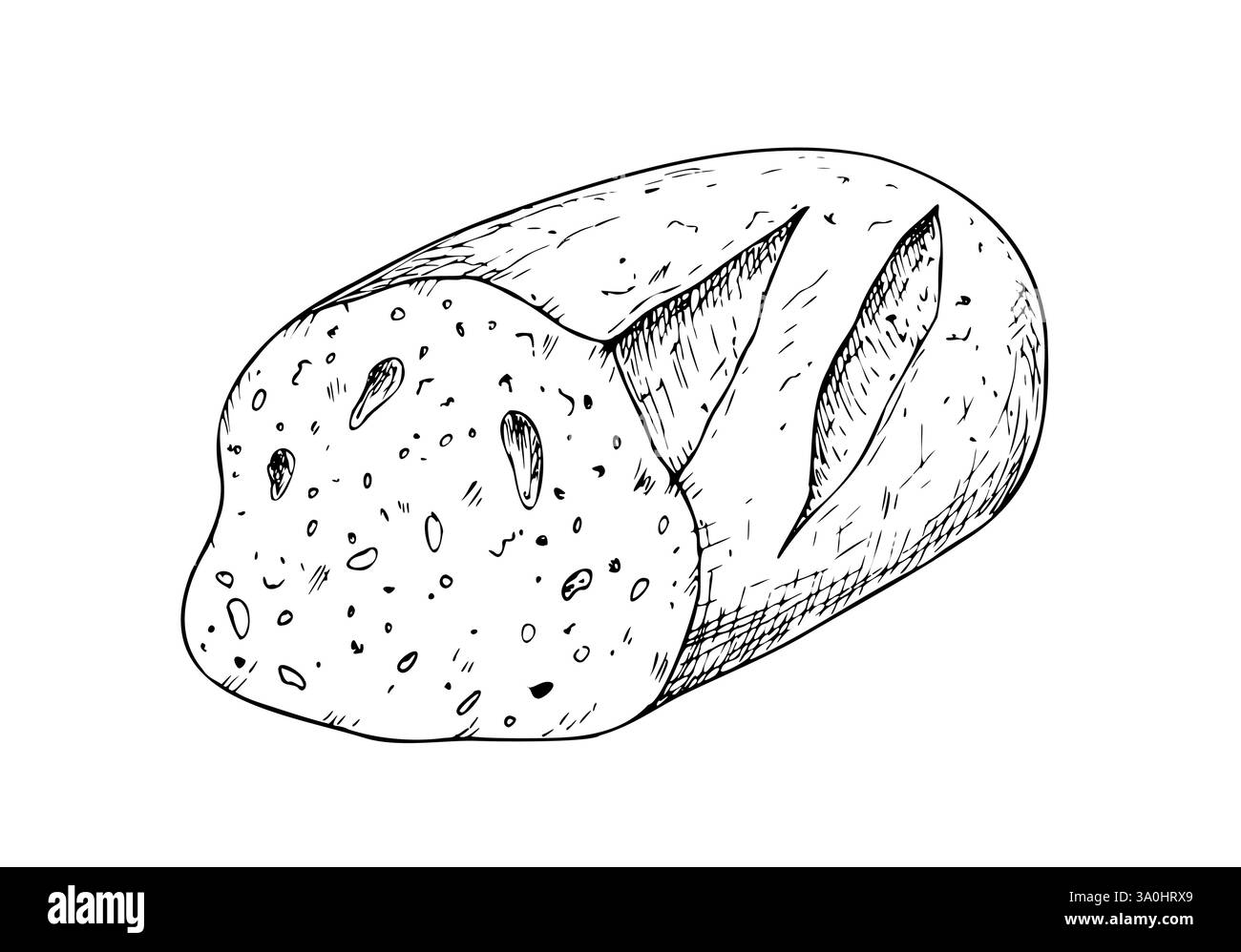 Fetta vettoriale di pane, panetteria. Pagnotta a inchiostro grafico, pane integrale, ciabatta, marrone fatto in casa, baguette. Illustrazione Bun isolata sullo sfondo Illustrazione Vettoriale