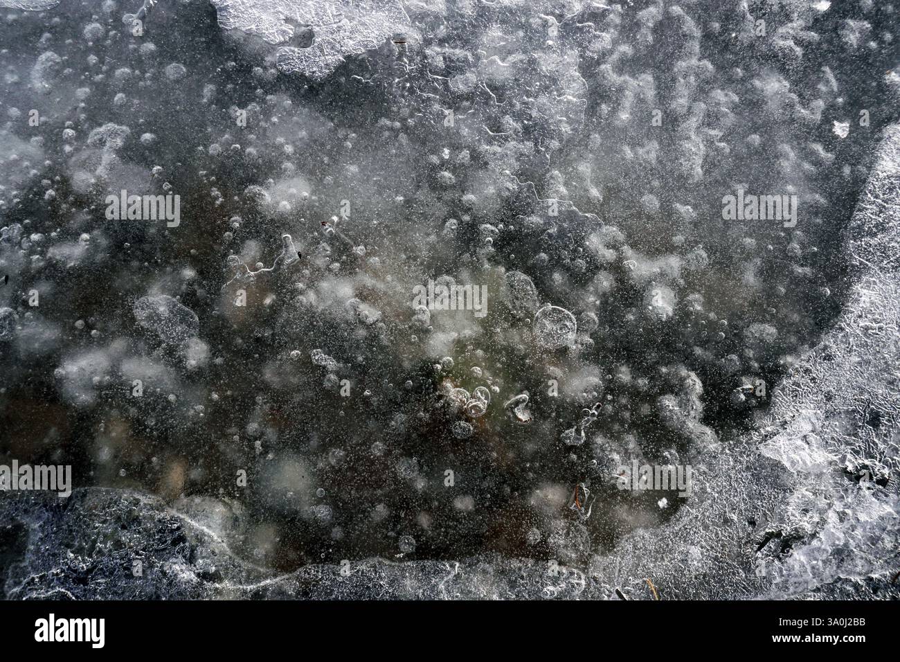 superficie ghiacciata naturale con bolle d'aria congelate, primo piano. Sfondo invernale astratto. Gocce di aria macro e acqua sul vetro Foto Stock