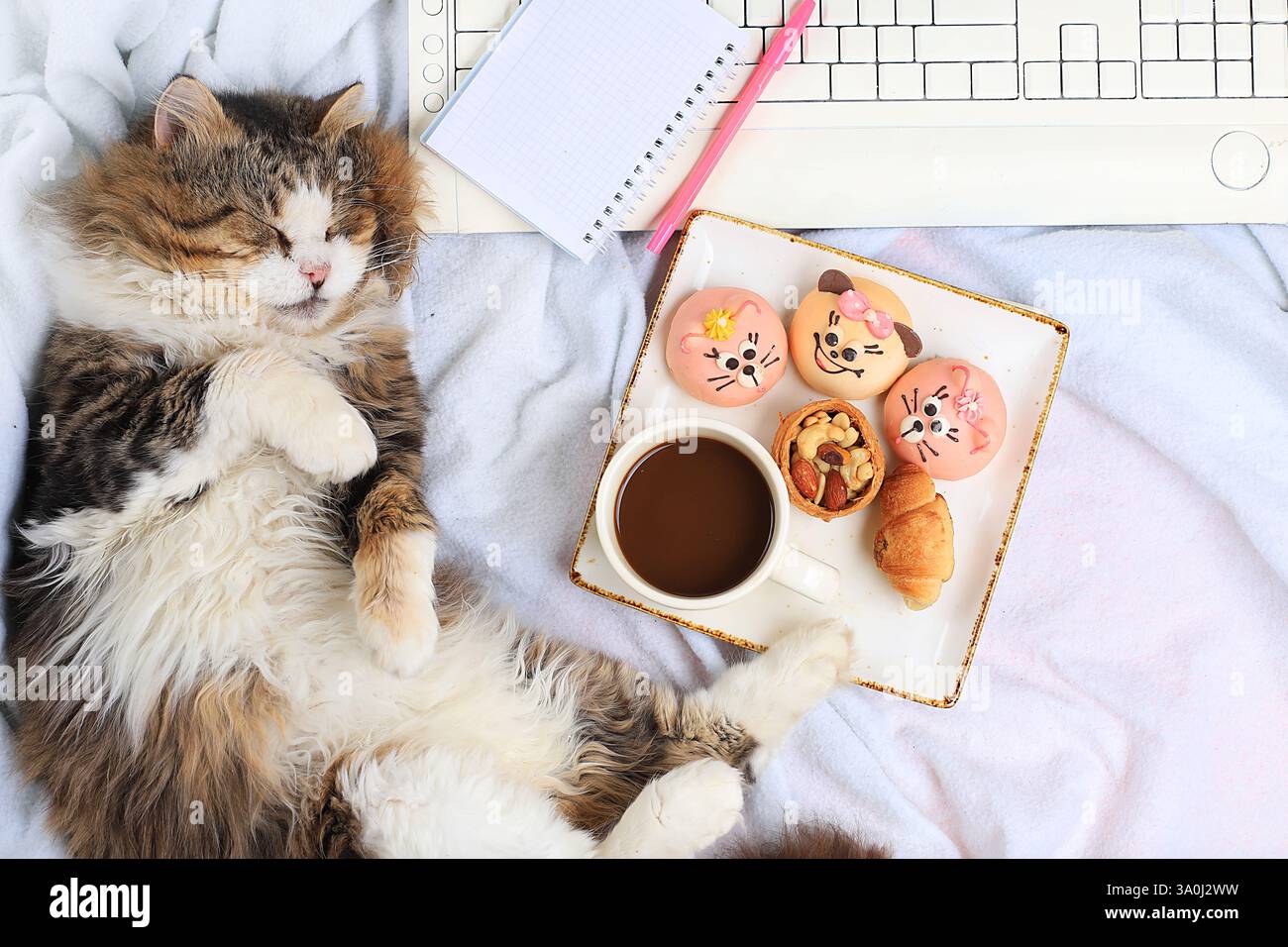 Moderna scrivania per donna, accogliente ufficio domestico con gatto. caffe' latte e muffin su coperta leggera, stile di vita sano, perfetta mattina accogliente, piatto, Foto Stock