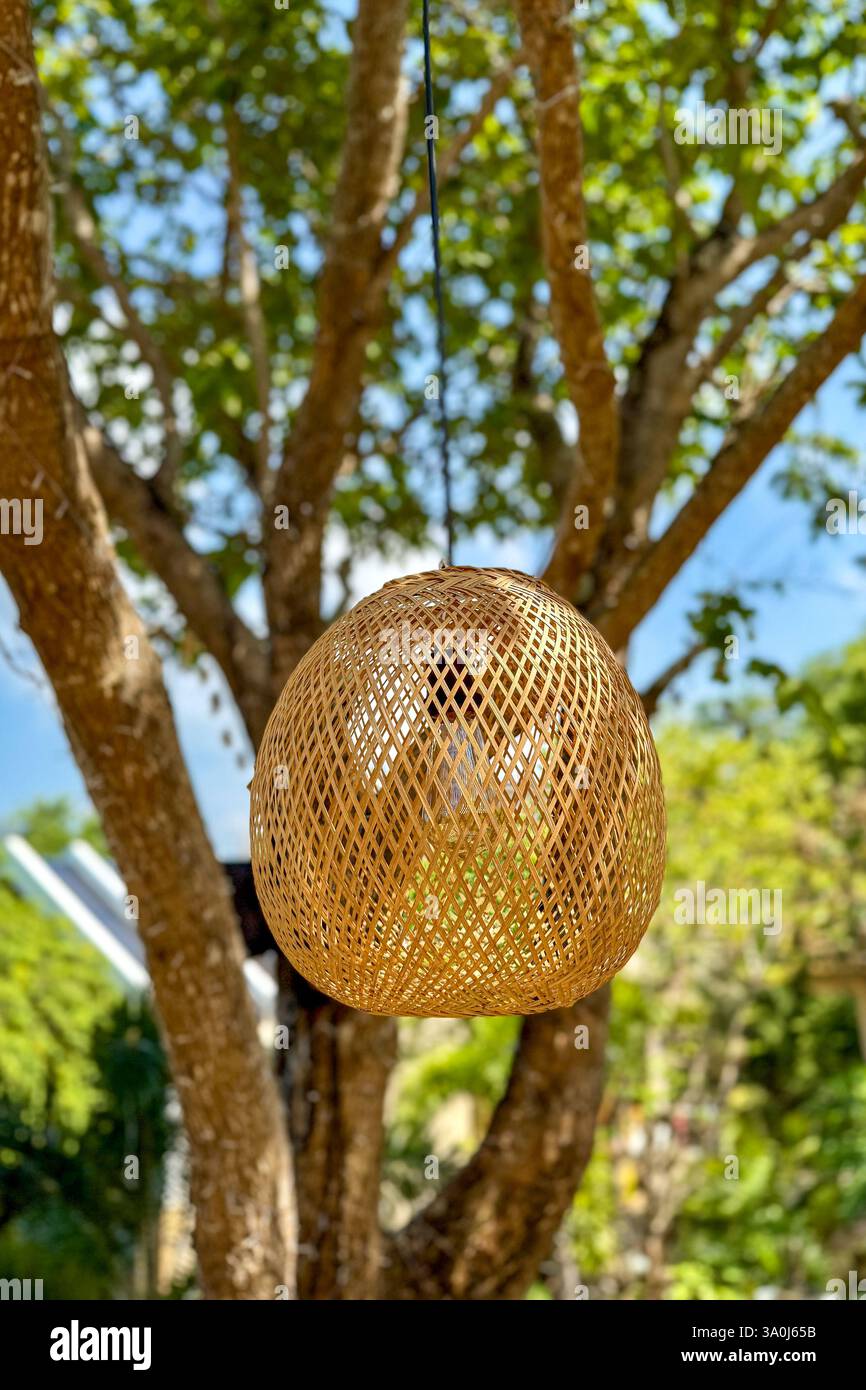 Lanterna di bambù intrecciata a mano contro i tronchi degli alberi Una lanterna di bambù splendidamente realizzata è appesa a un ramo d'albero, con tronchi di alberi testurizzati nel backgroun Foto Stock