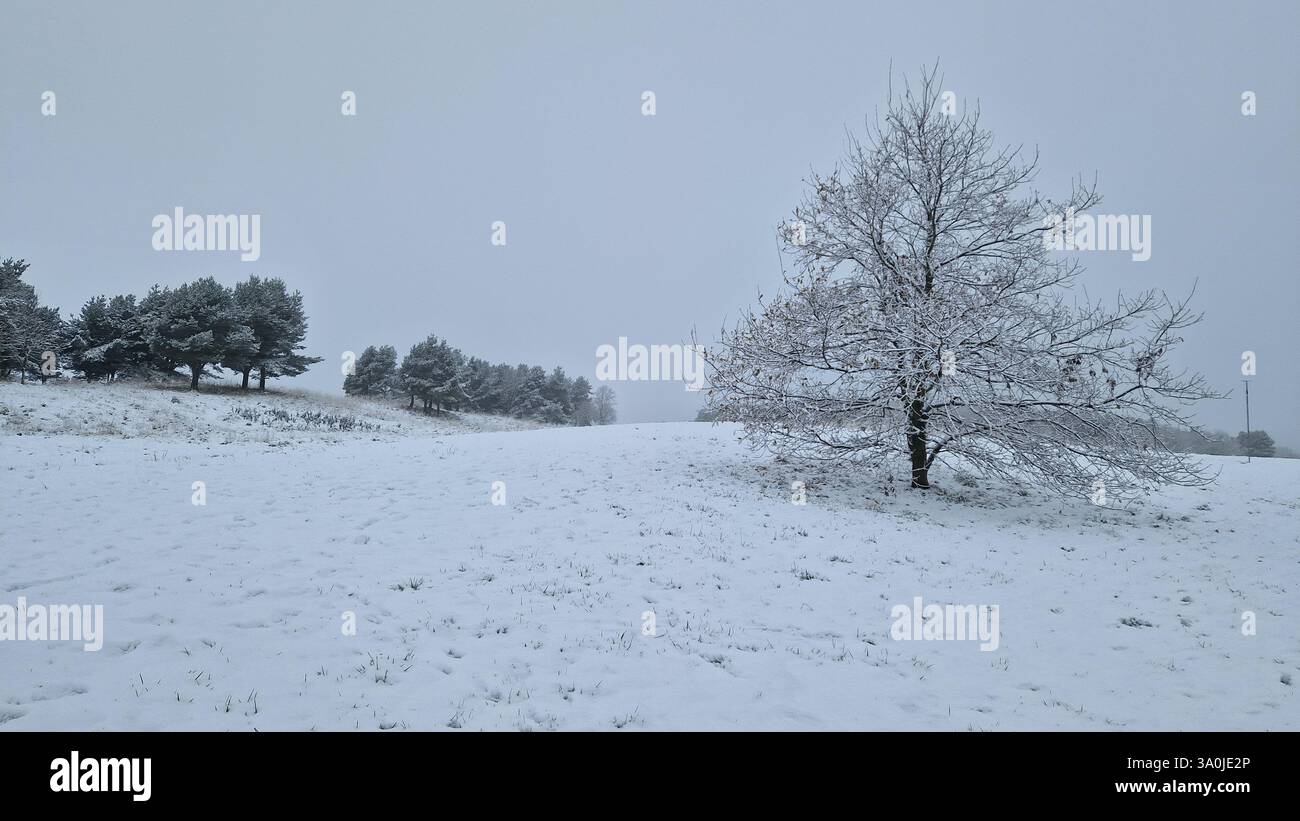 Winter Wonderland, contea di Durham Foto Stock