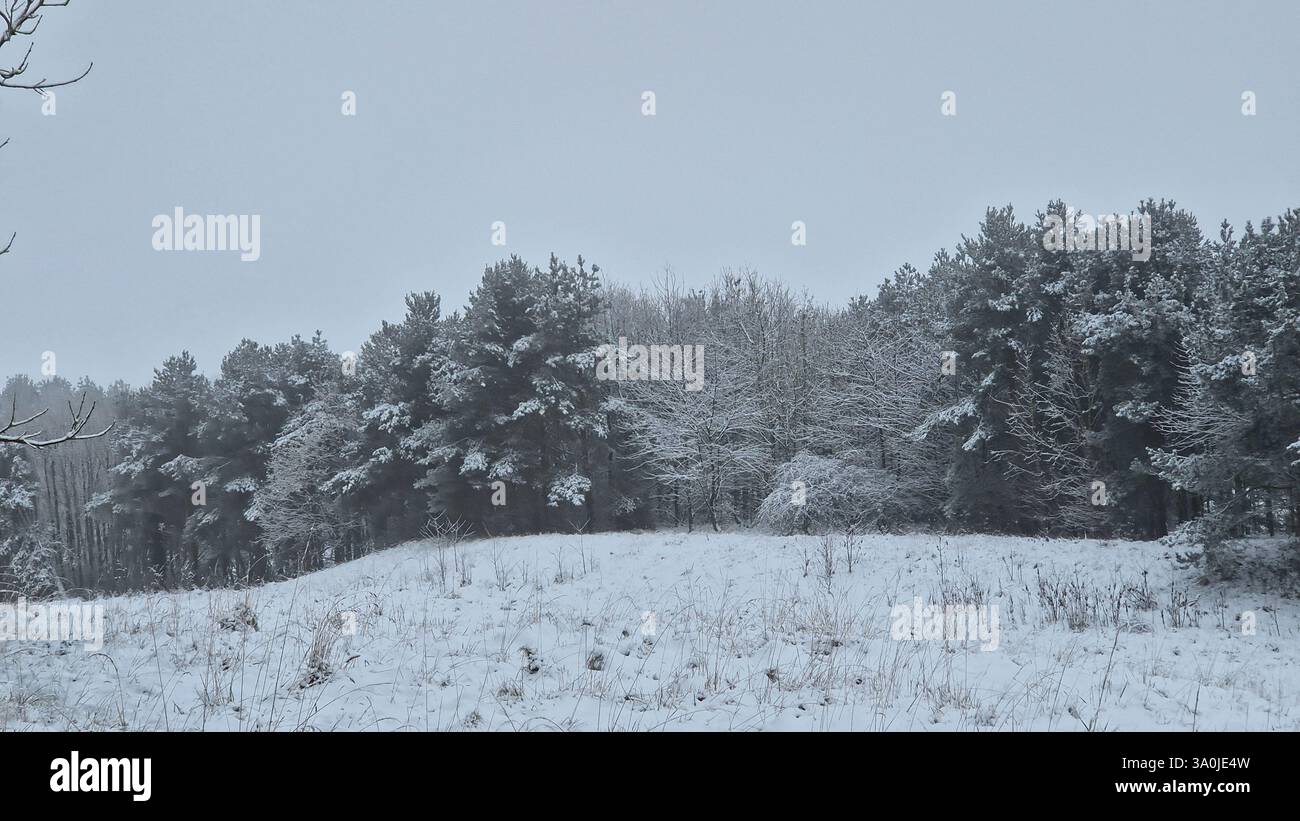 Winter Wonderland, contea di Durham Foto Stock