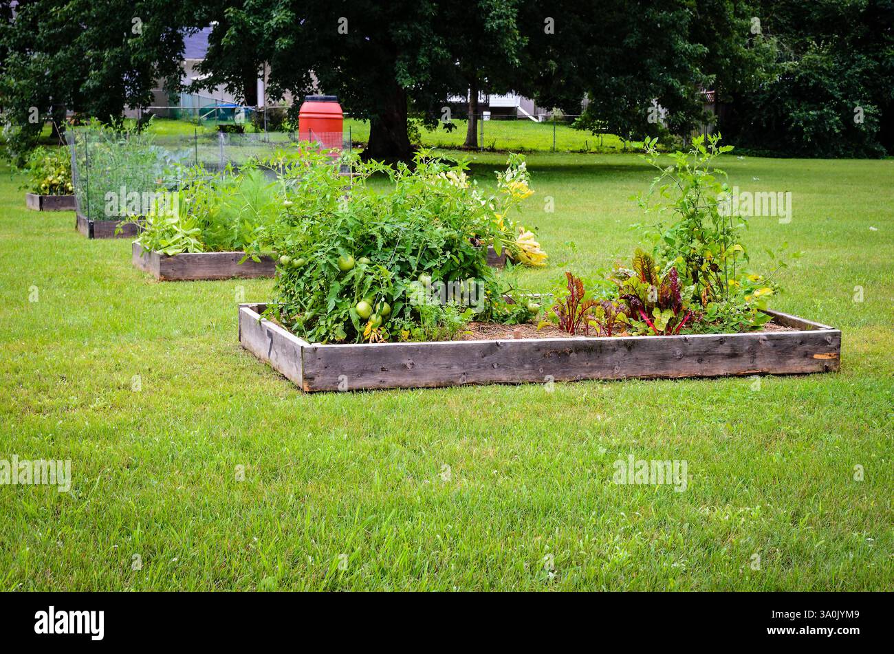 Camera singola con letti Community Garden in un pubblico periferico Foto Stock