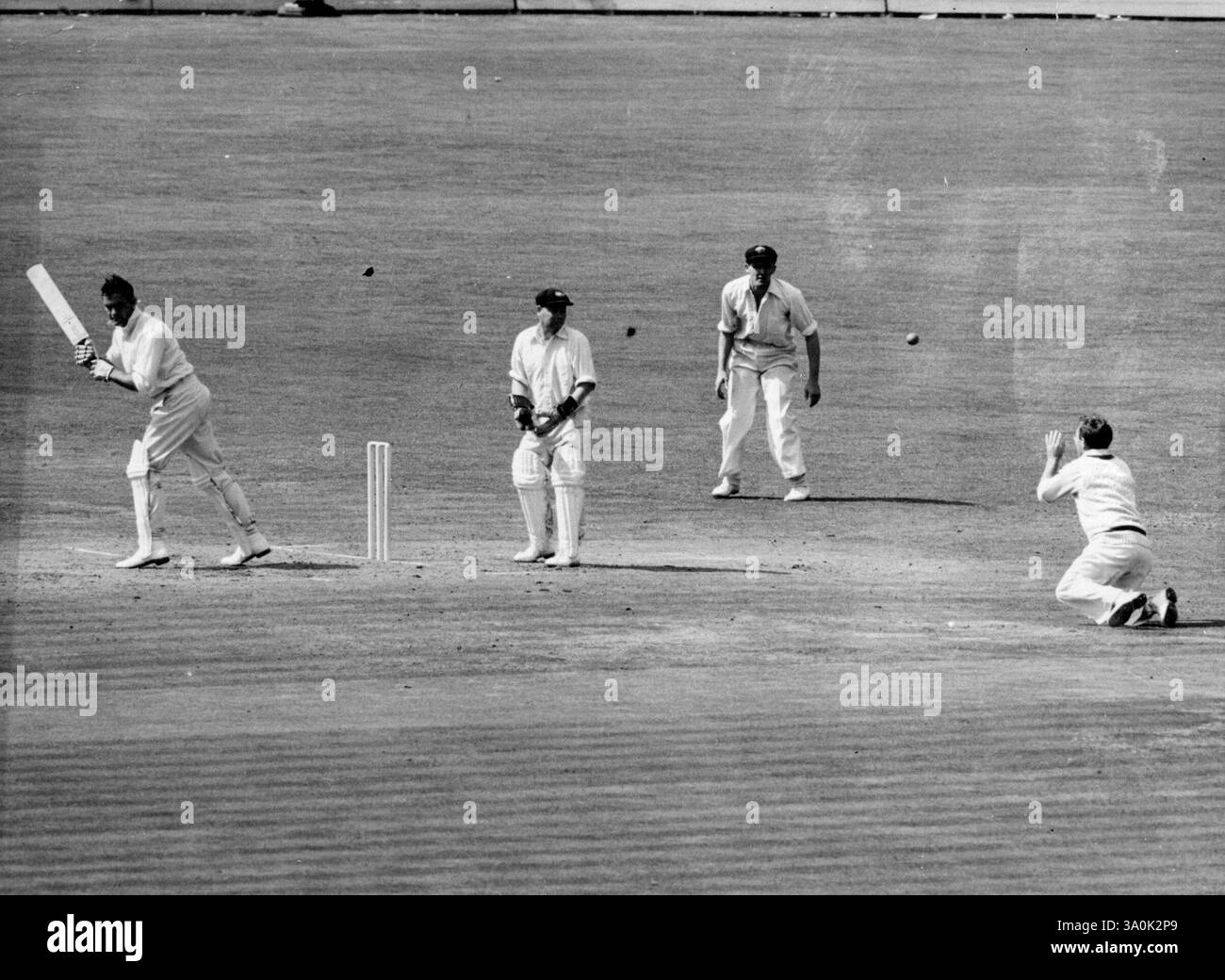 Third Day of the Fifth test Match all'Oval A Near Thing for Bedser, ma la palla aveva colpito per prima. 18 agosto 1953. (Foto di Paul Popper). Foto Stock