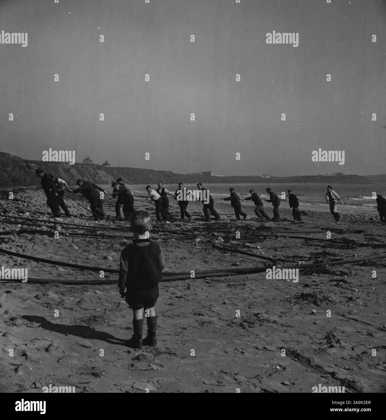 Atterraggio. Quando un Shore End è stato portato in spiaggia una squadra di lavoratori dell'ufficio postale aiuta l'equipaggio. Il cavo viene trasportato con cautela lungo il litorale fino al punto in cui sarà collegato ai terminali della cappottatura. I lunghi trefoli curvi facilitano il trasporto. Così, viene posta un'altra linea sicura. 10 ottobre 1942. Foto Stock