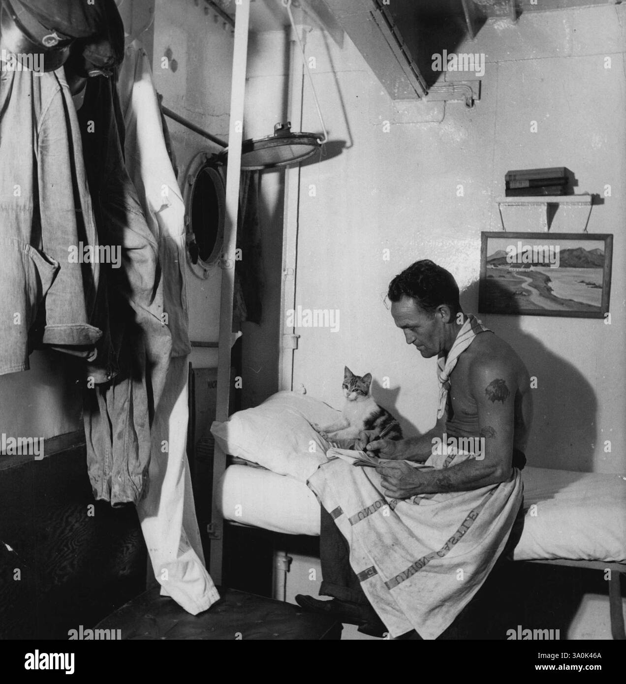 Natale a bordo della nave -- i tacchini sono stati serviti: Tutti i gatti amano i cuochi e Patch, il Tom della nave, la caduta del tacchino non ama dormire da soli e aspetta che Geordie vada a letto. Geordie, un tempo un minatore di carbone di Newcastle fino a quando non gli ha schiacciato la mano, ha disteso la cena di Natale a tutti i pignoli, mangiando poco se stesso - "si sente l'odore di esso" - scrive a sua moglie prima di consegnare "un'altra matrice natalizia in mare, che vita”. 11 febbraio 1952. (Foto di Nigel Watt, camera Press). Foto Stock