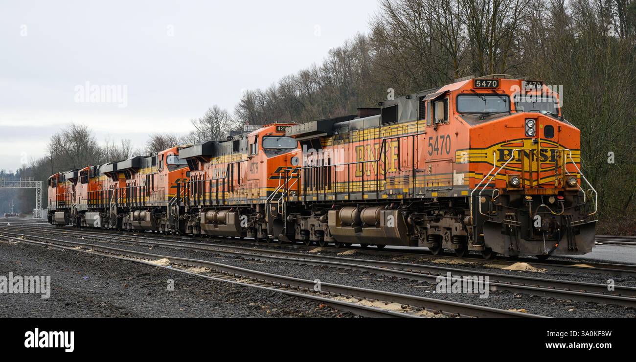 Seattle - 23 febbraio 2025; linea di locomotive diesel BNSF per il trasporto merci con logo aziendale in inverno Foto Stock