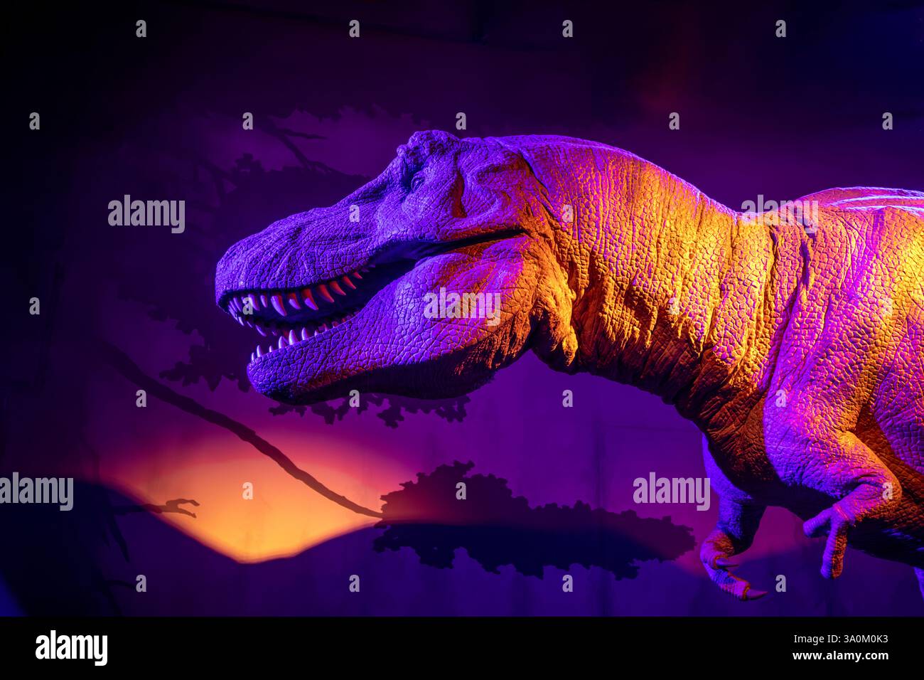 Modello T-Rex a grandezza naturale al Museo di storia naturale di Londra Foto Stock
