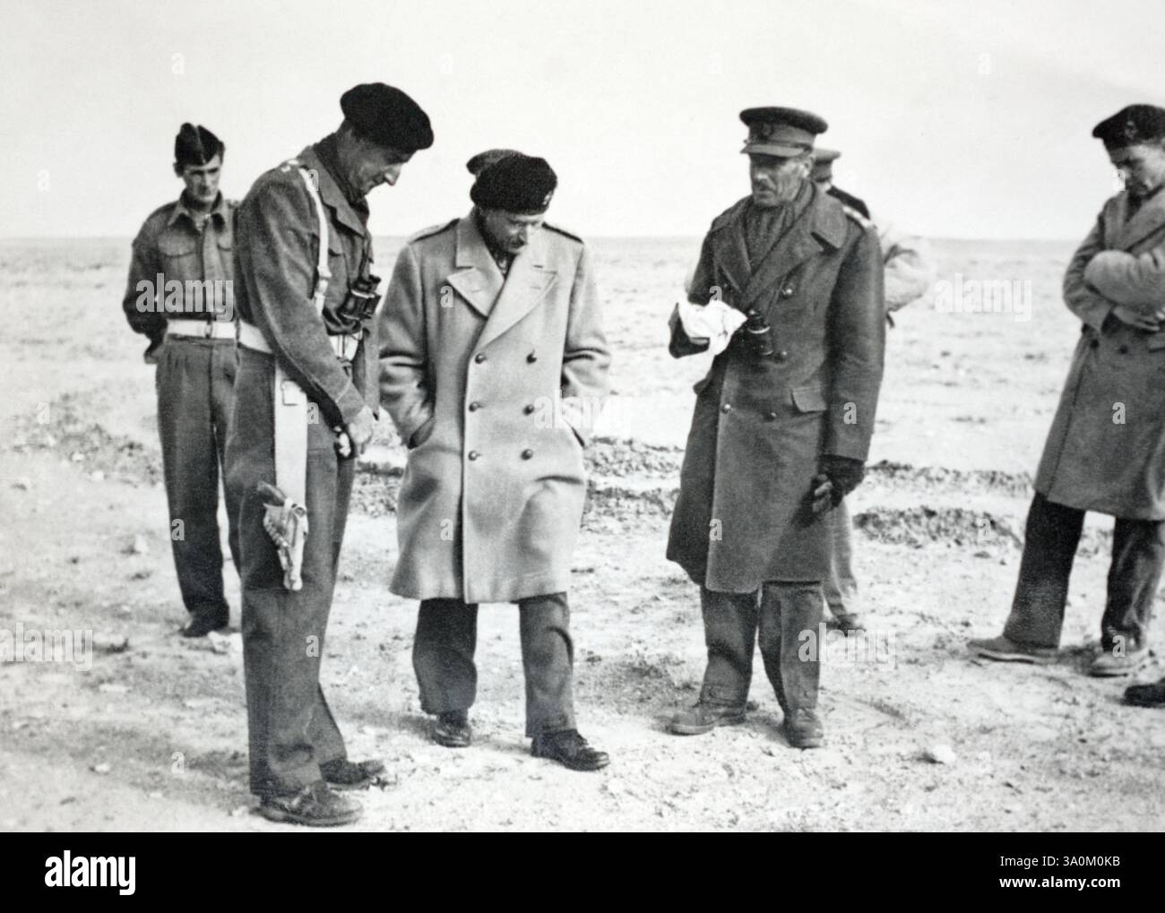 Il generale Montgomery parla con gli ufficiali del Nord Africa, 1942. (Da sinistra a destra): Ufficiale non identificato; tenente colonnello James Eadie, comandante dello Staffordshire Yeomanry; generale Bernard Montgomery, comandante dell'ottava Armata; brigadiere E. C. N. Custance comandante dell'ottava Brigata corazzata; e maggiore Lawrence Biddle, maggiore di brigata dell'ottava Brigata corazzata. Foto Stock