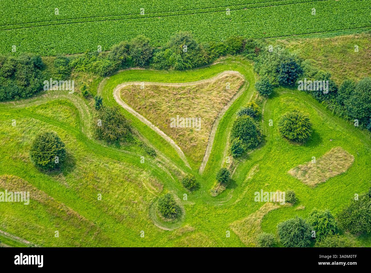 Vista aerea, prato a forma di cuore vicino a Riemelsbeck am Rumbach, Holthausen - sud-est, Mülheim an der Ruhr, zona della Ruhr, Renania settentrionale-Vestfalia, Germania Foto Stock