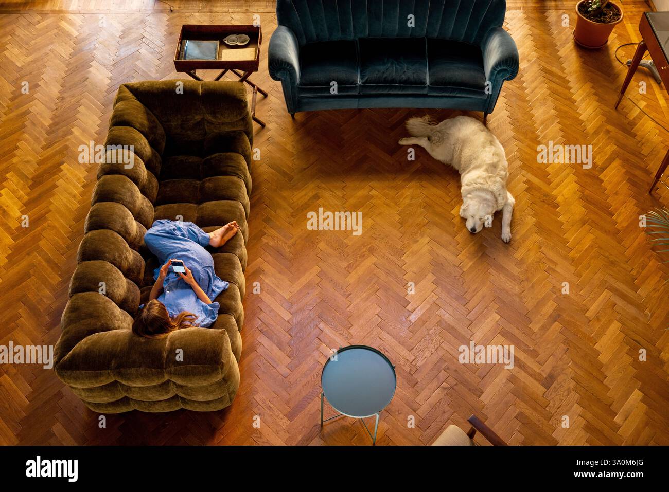 Una donna si rilassa su un morbido divano in velluto, scorrendo attraverso il suo telefono, mentre il suo grande cane bianco giace pacificamente su un pavimento in parquet di legno. Gli interni caldi ed eleganti con mobili vintage esaltano la scena Foto Stock