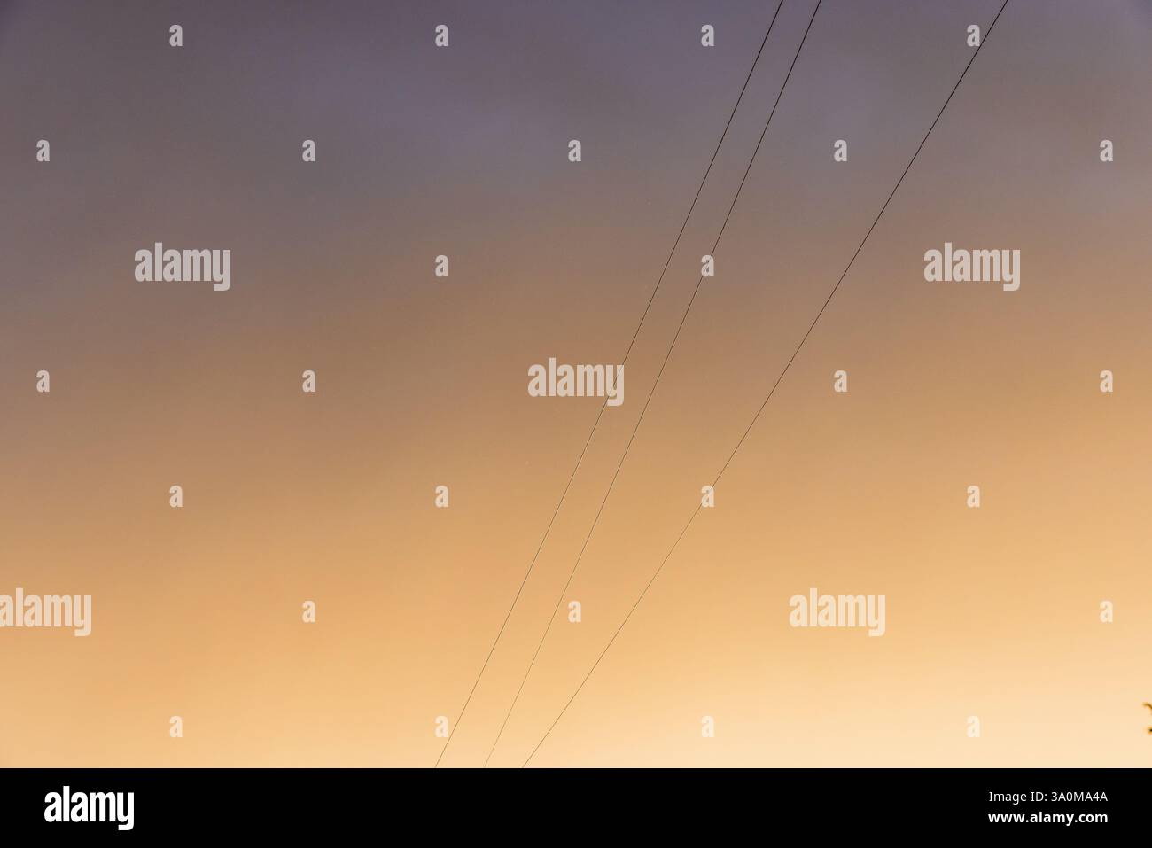 Le linee elettriche che si estendono su un cielo sereno all'ora d'oro creano una composizione stimolante. Il gradiente di tonalità calde e fredde evoca pace e connessione Foto Stock
