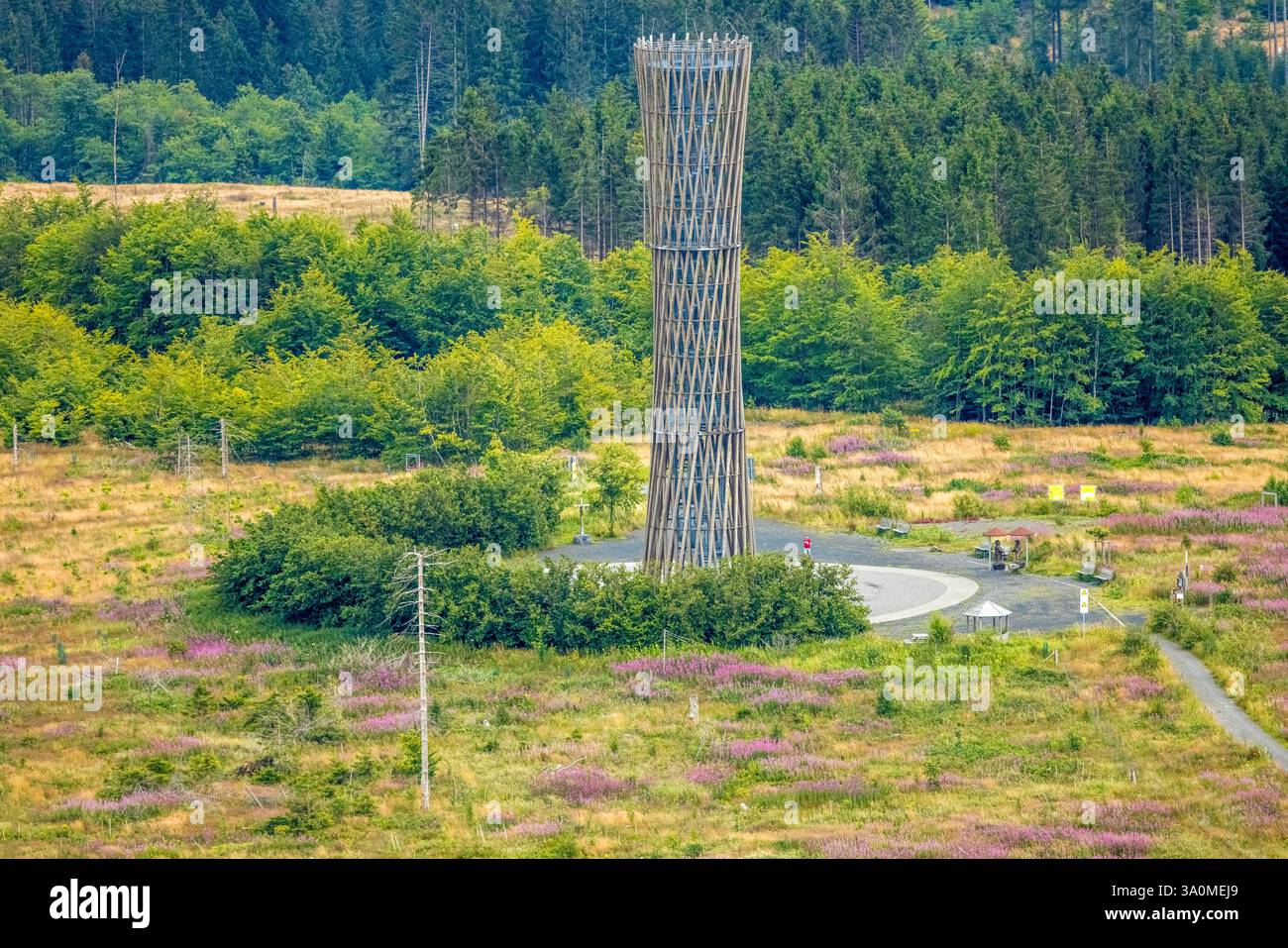 Vista aerea, Torre Lörmecke, torre di osservazione a Plackwald, Warstein, Sauerland, Renania settentrionale-Vestfalia, Germania Foto Stock