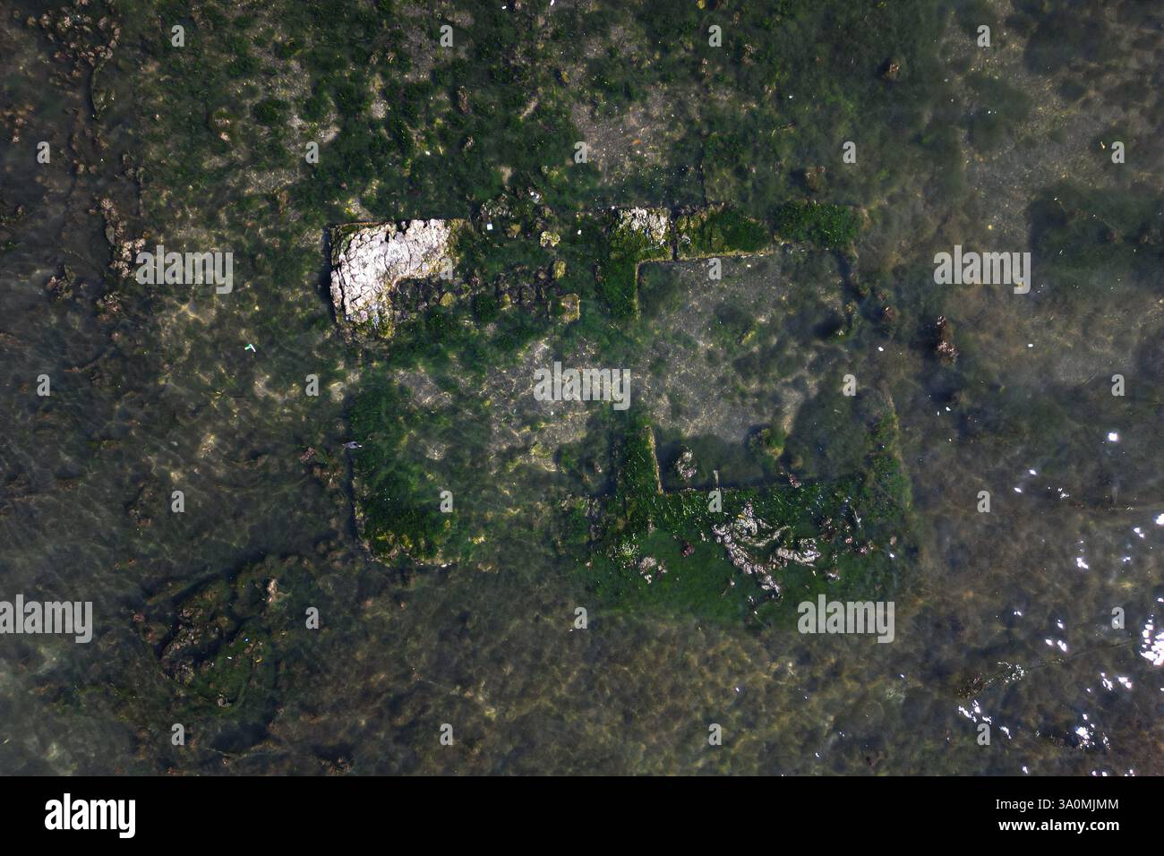 Bacoli, Italia. 4 marzo 2025. Strutture murarie di epoca romana riaffiorano nel Lago di Fusaro, campi Flegrei, a causa del bradicitismo. Il lago si trova nel comune di Bacoli. (Foto di Paolo manzo/NurPhoto) credito: NurPhoto SRL/Alamy Live News Foto Stock