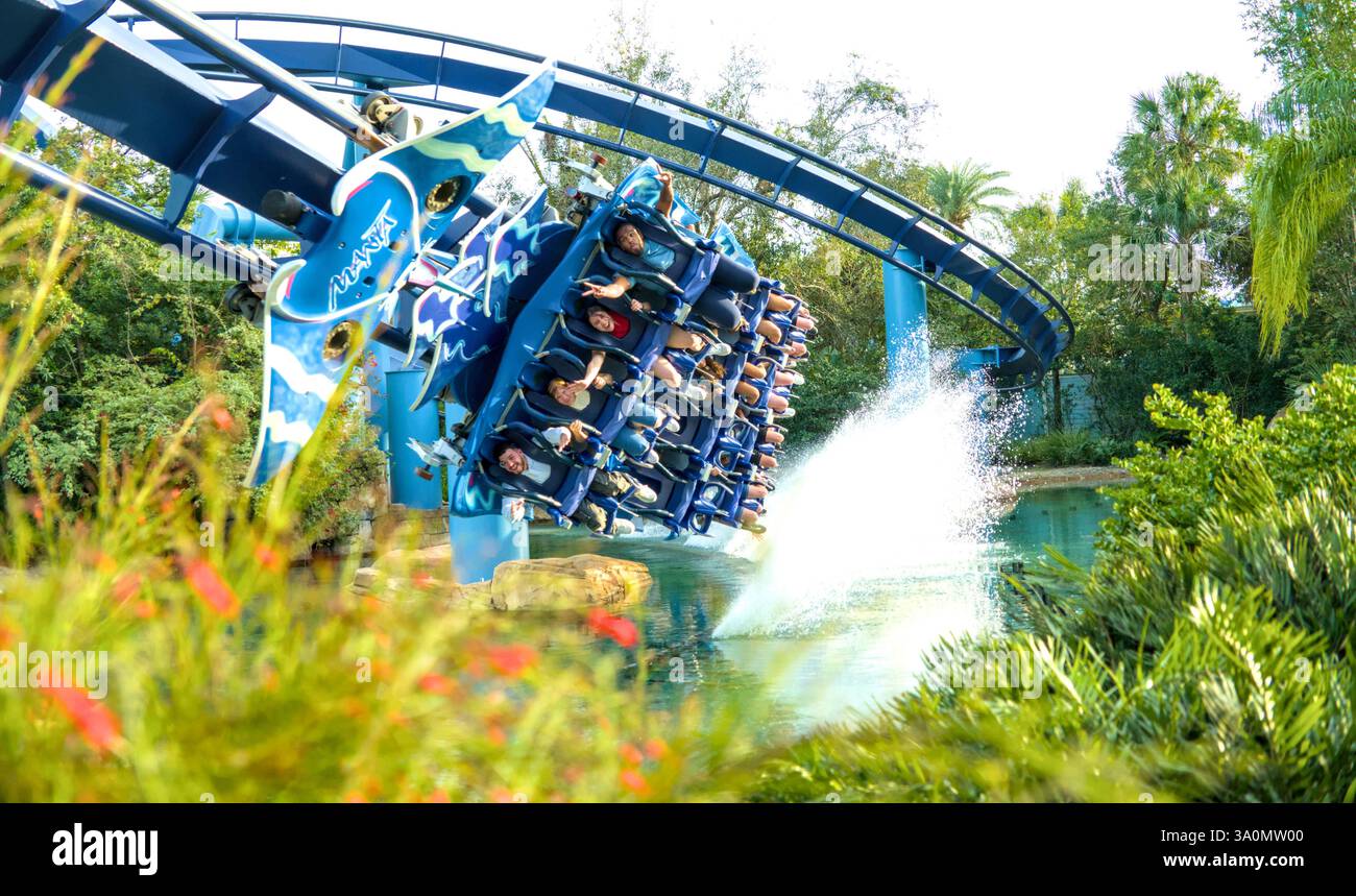 La manta acquatica si trova a Seaworld, Orlado USA. Lato a vista attraverso il fogliame Foto Stock