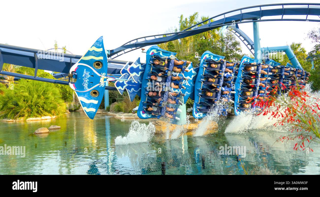 La manta acquatica si trova a Seaworld, Orlado USA. Lato in vista Foto Stock