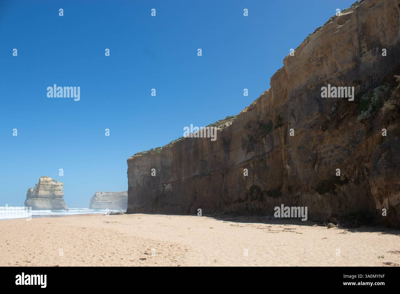 Spiaggia di Great Ocean Road: L'alta scogliera si innalza dalla spiaggia sabbiosa, le onde si infrangono sulla sabbia. In lontananza ci sono due pile di roccia. Cielo blu chiaro Foto Stock