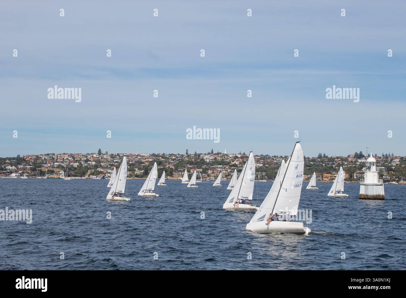 Regata in barca a vela sul porto di Sydney: Molte barche a vela bianche corrono su acque blu discontinue. Lo skyline della città e un faro si trovano in lontananza. Cielo nuvoloso Foto Stock