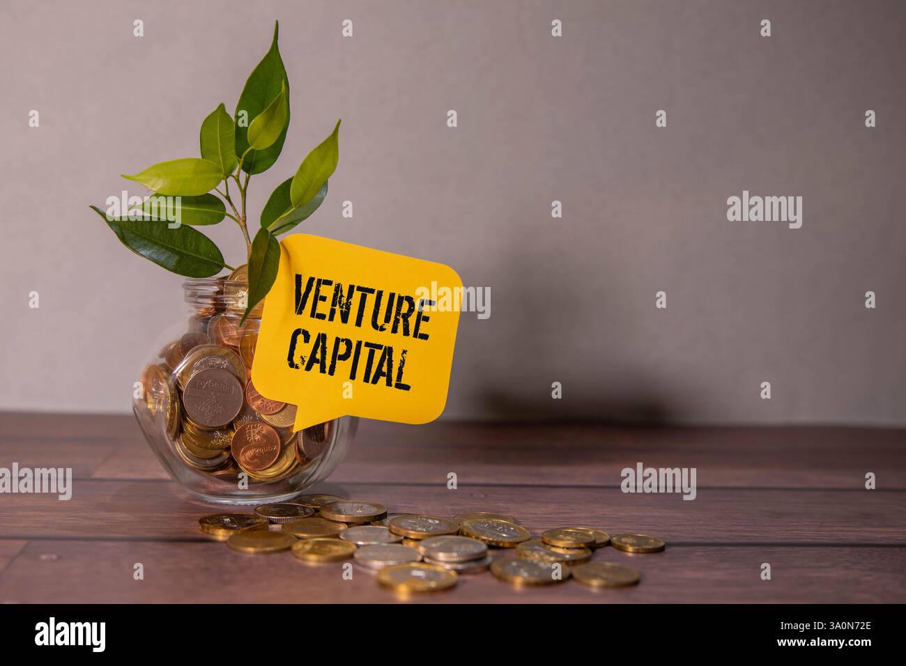 Simbolo del capitale di rischio. Blocchi di legno con parole Venture Capital. Bellissimo sfondo rosa. Concetto di capitale aziendale e di capitale di rischio. Copia spazio. Foto Stock