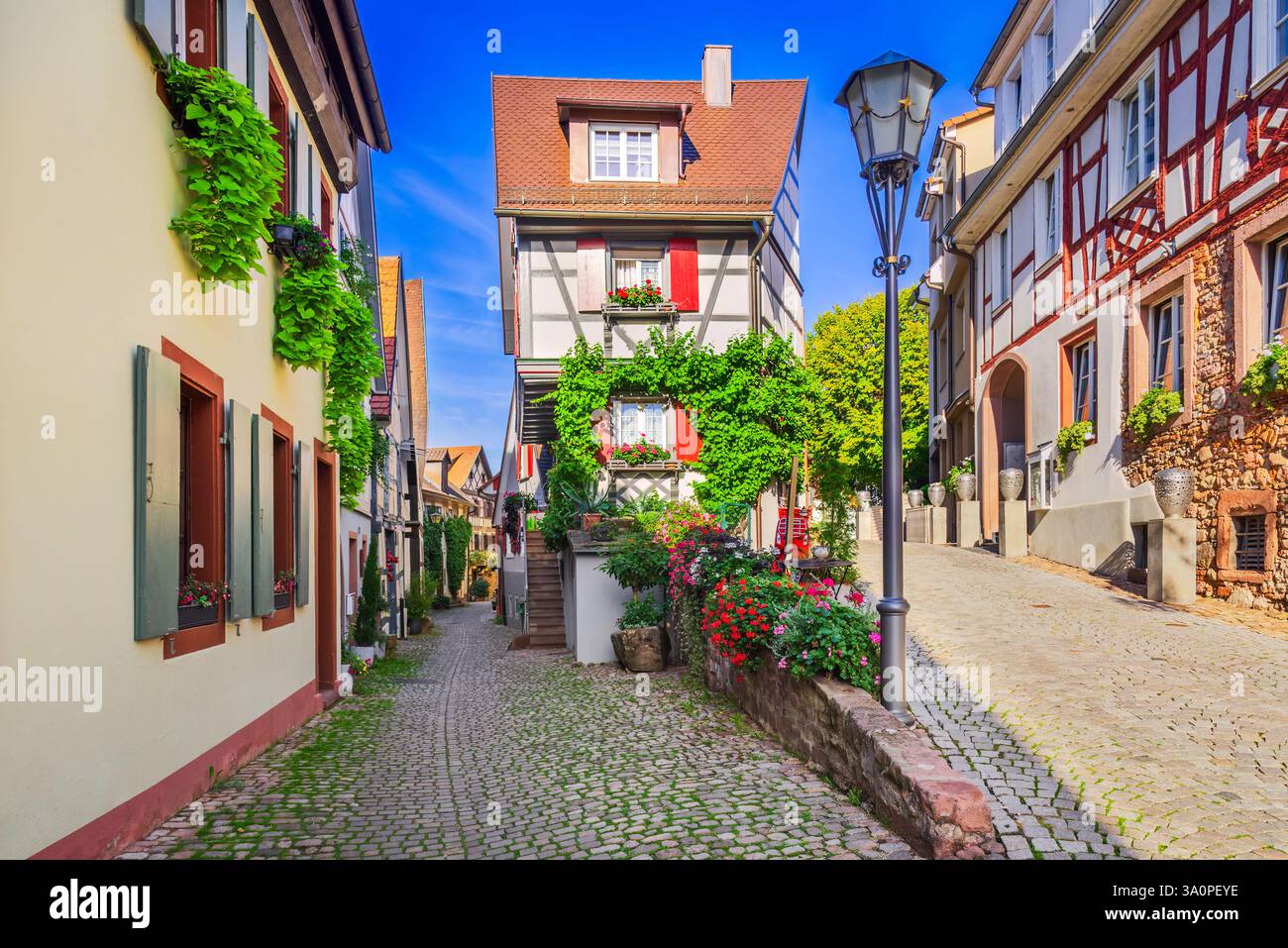 Gengenbach, Germania. Splendida cittadina di Schwarzwald (Foresta Nera), terra di Baden Wurttemberg. Foto Stock