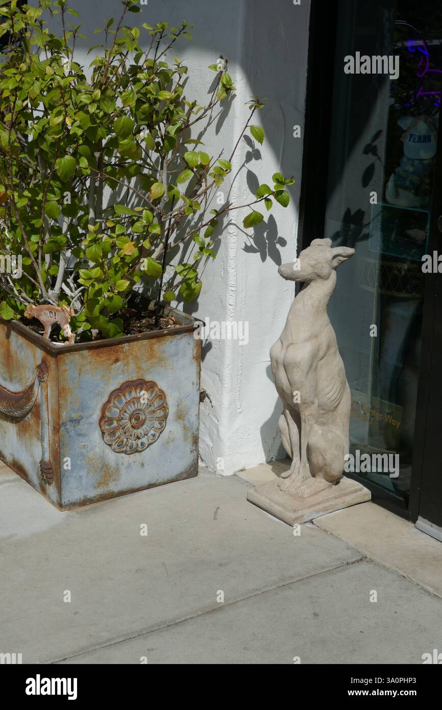 Malibu, California, USA 4 marzo 2025 statua del cane al Malibu Country Mart al 3835 Cross Creek Road il 4 marzo 2025 a Malibu, California, USA. Foto di Barry King/Alamy Stock Photo Foto Stock