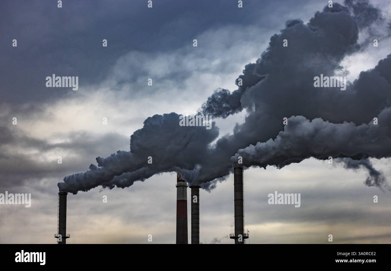 Inquinamento, industria, fumo che fuoriesce dal camino di una fabbrica, Lenzing, alta Austria, Austria, Europa Foto Stock