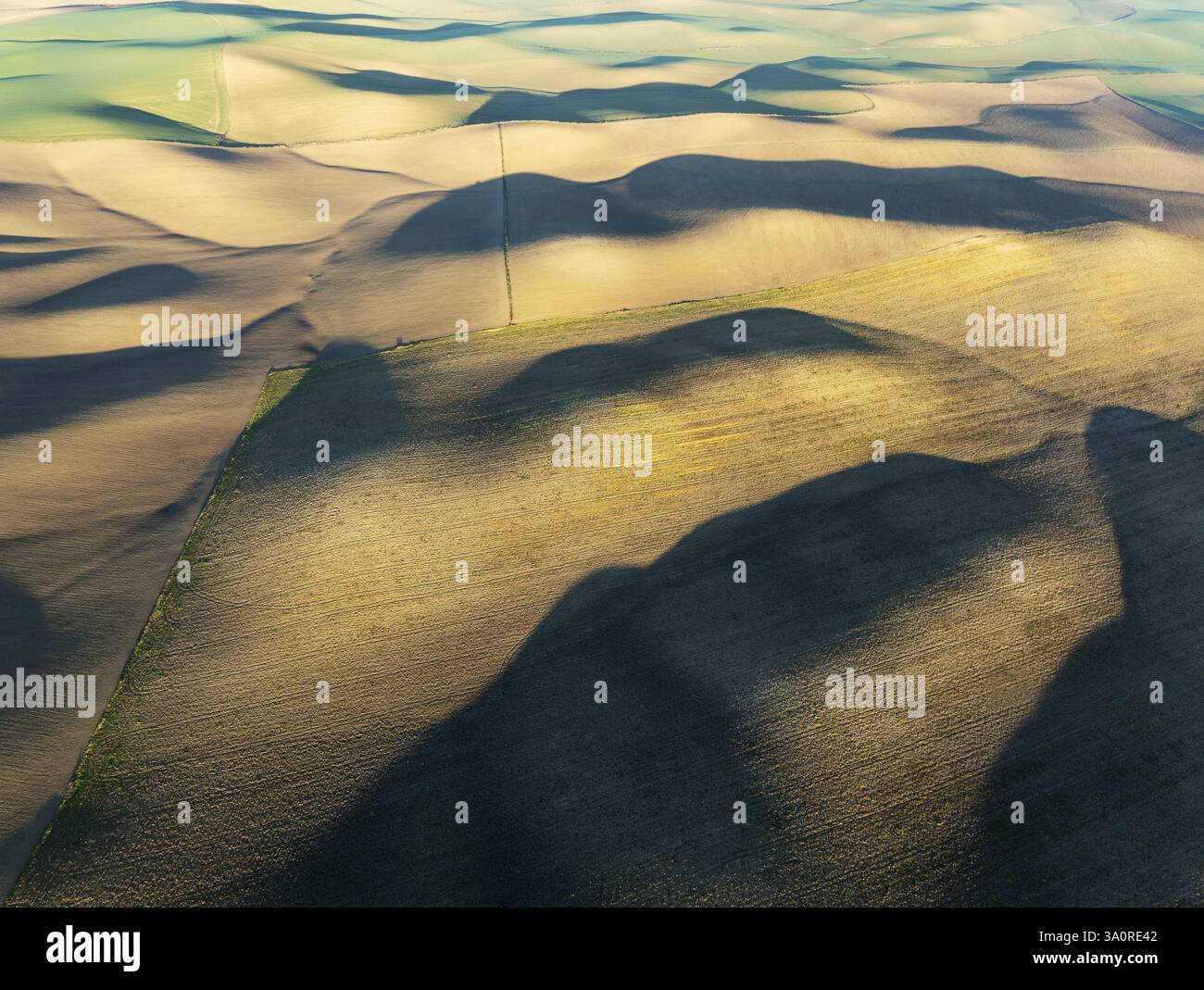 Terreno agricolo nella Campina Cordobesa, la fertile zona rurale a sud del paese di Cordoba. Vista aerea. Colpo di drone. Provincia di Cordoba, Andalusia, Spagna Foto Stock