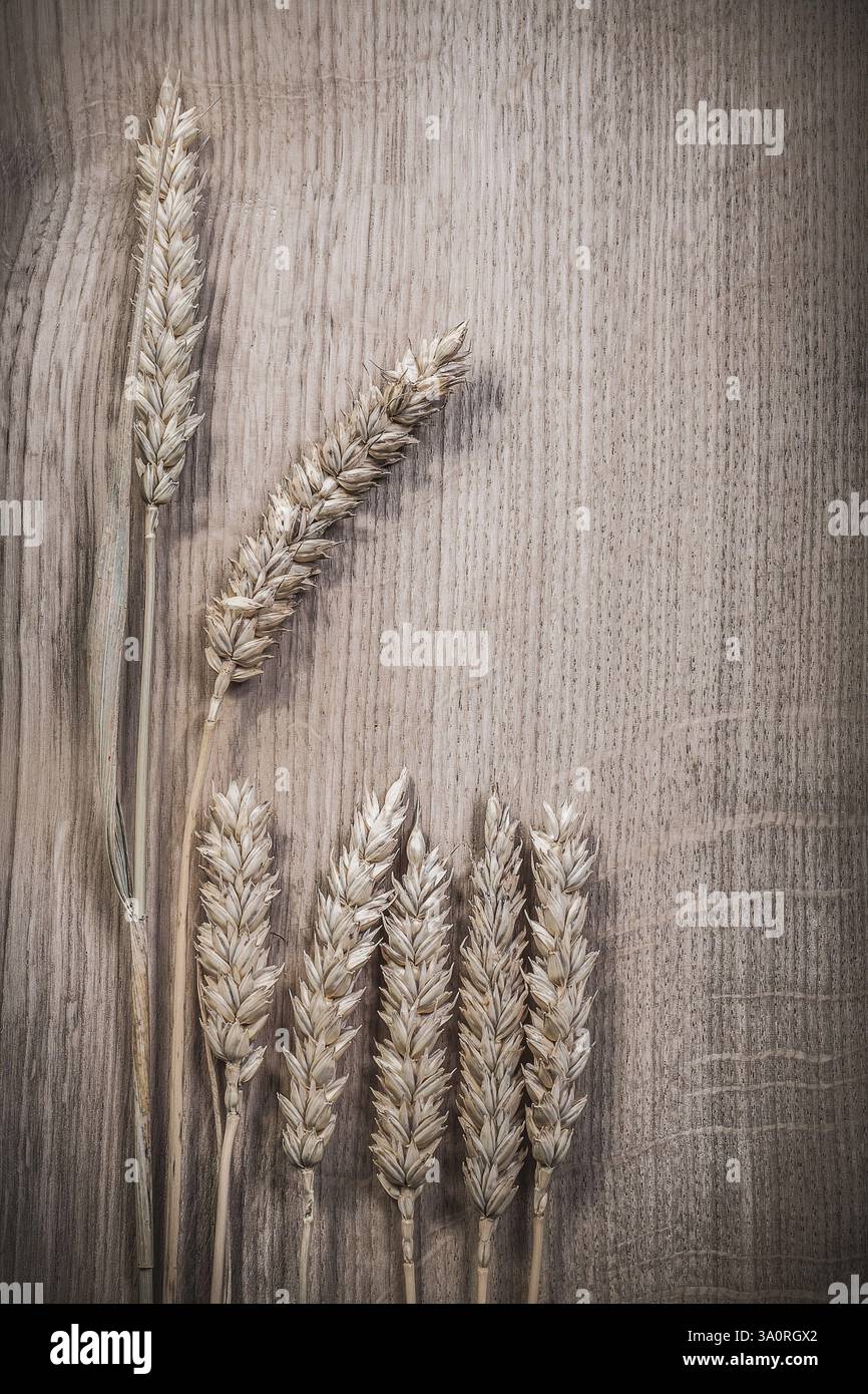 Composizione delle orecchie di segale di frumento su tavola di legno Foto Stock
