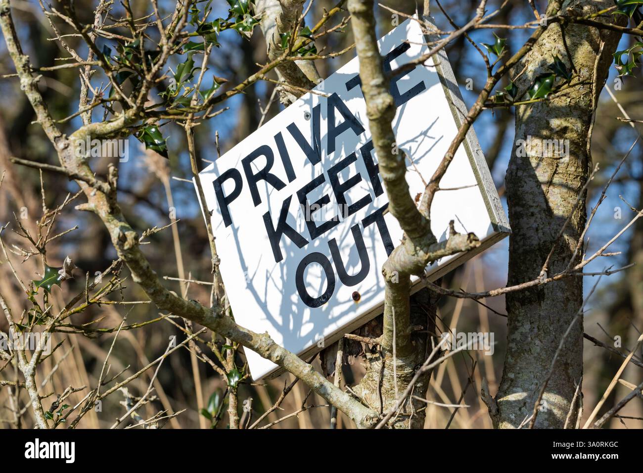 Un avviso di esclusione privato tra i rami degli alberi Foto Stock