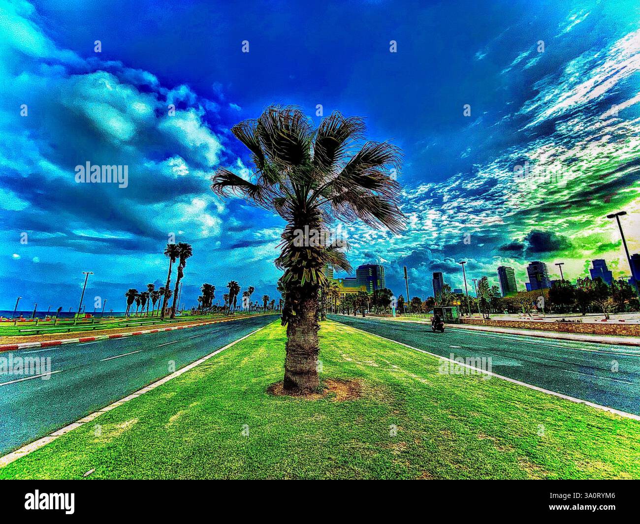 Un'immagine sorprendente di palme adagiate su un cielo vibrante e surreale con spettacolari formazioni nuvolose. I colori sono altamente saturi, creando Foto Stock