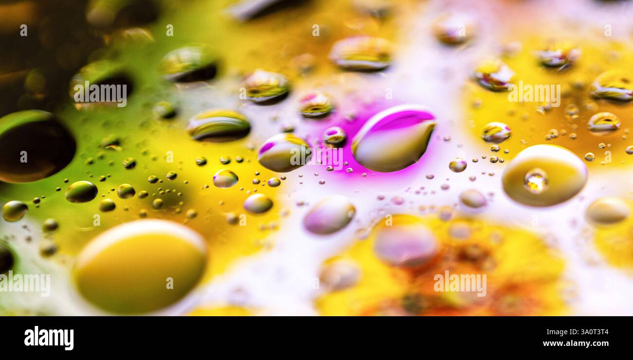 Macro shot astratto di gocce d'acqua che riflettono fiori colorati Foto Stock