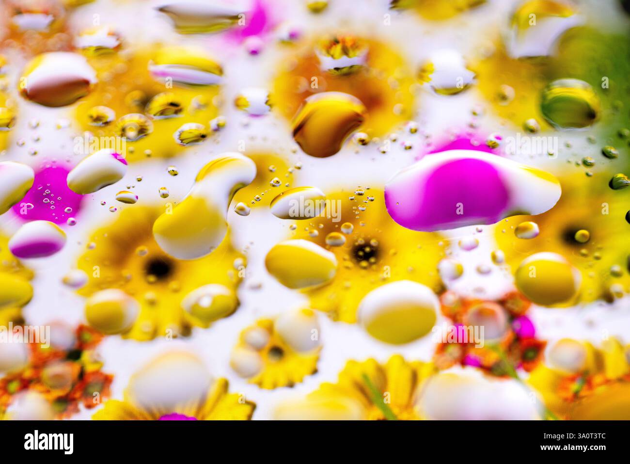 Primo piano astratto di gocce d'acqua che riflettono fiori colorati Foto Stock
