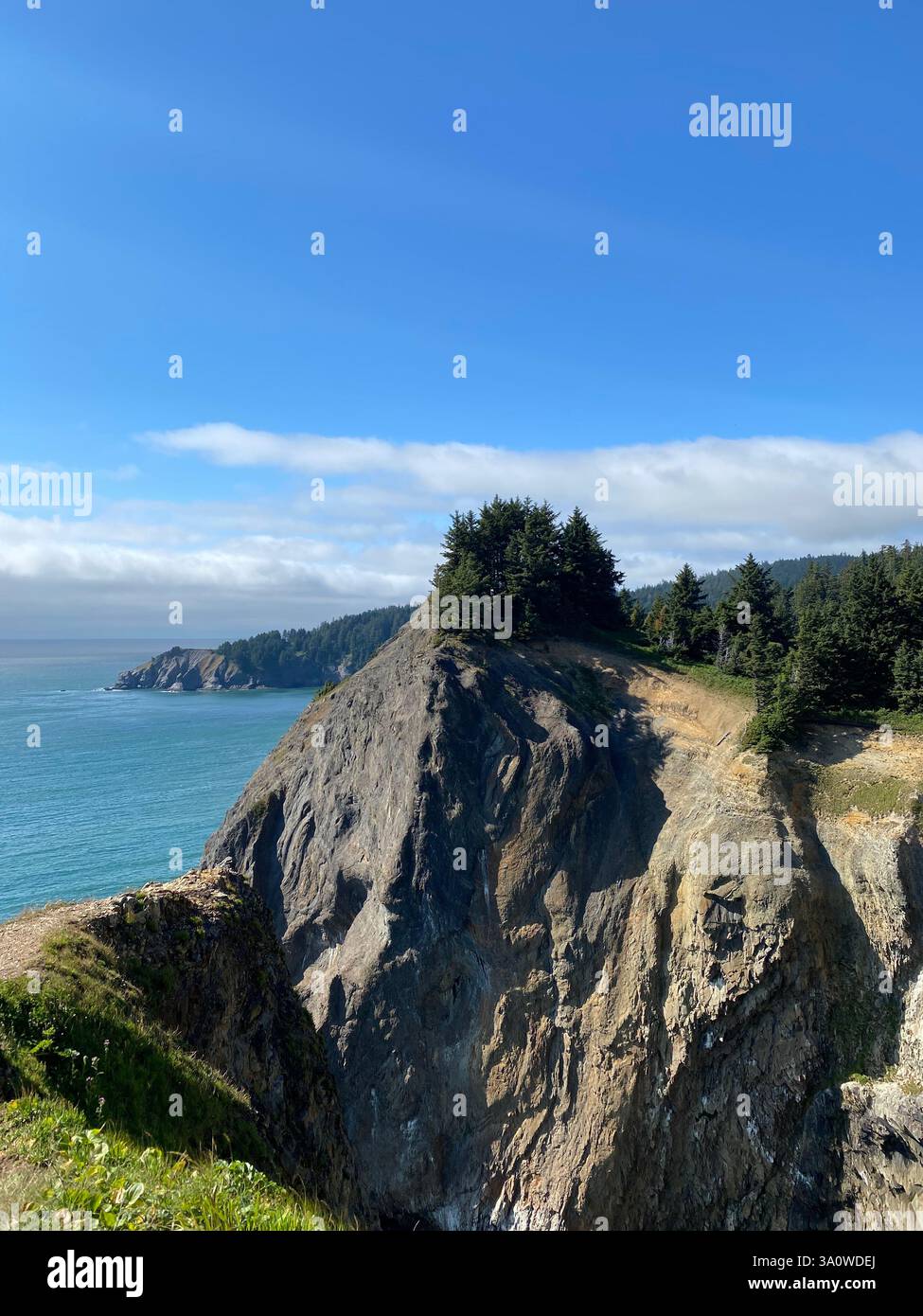 Spettacolare scogliera con alberi lussureggianti e vista sull'oceano sotto un cielo limpido - Immagine stock catturata con smartphone