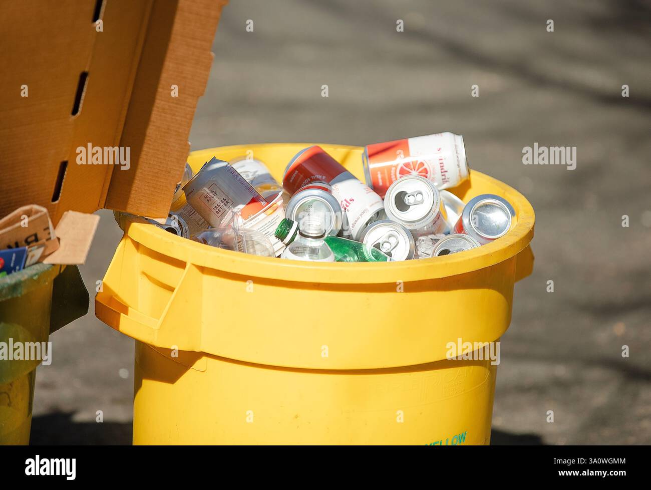 Contenitori riempiti per la raccolta differenziata dei rifiuti in un'area residenziale in una strada a Princeton, New Jersey, Stati Uniti, 23 febbraio. Foto Stock