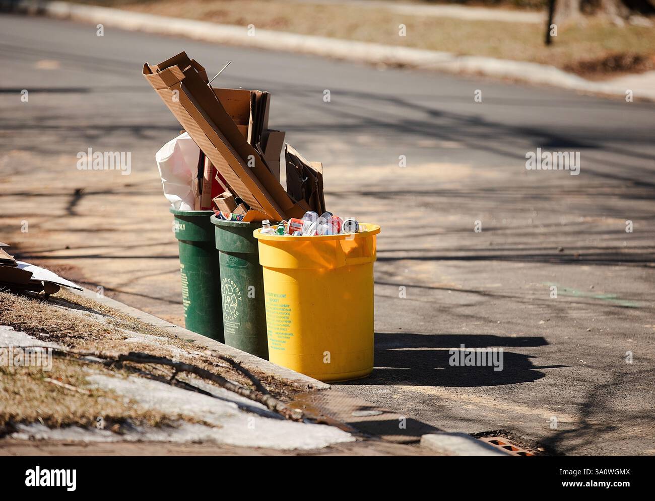 Contenitori riempiti per la raccolta differenziata dei rifiuti in un'area residenziale in una strada a Princeton, New Jersey, Stati Uniti, 23 febbraio. Foto Stock
