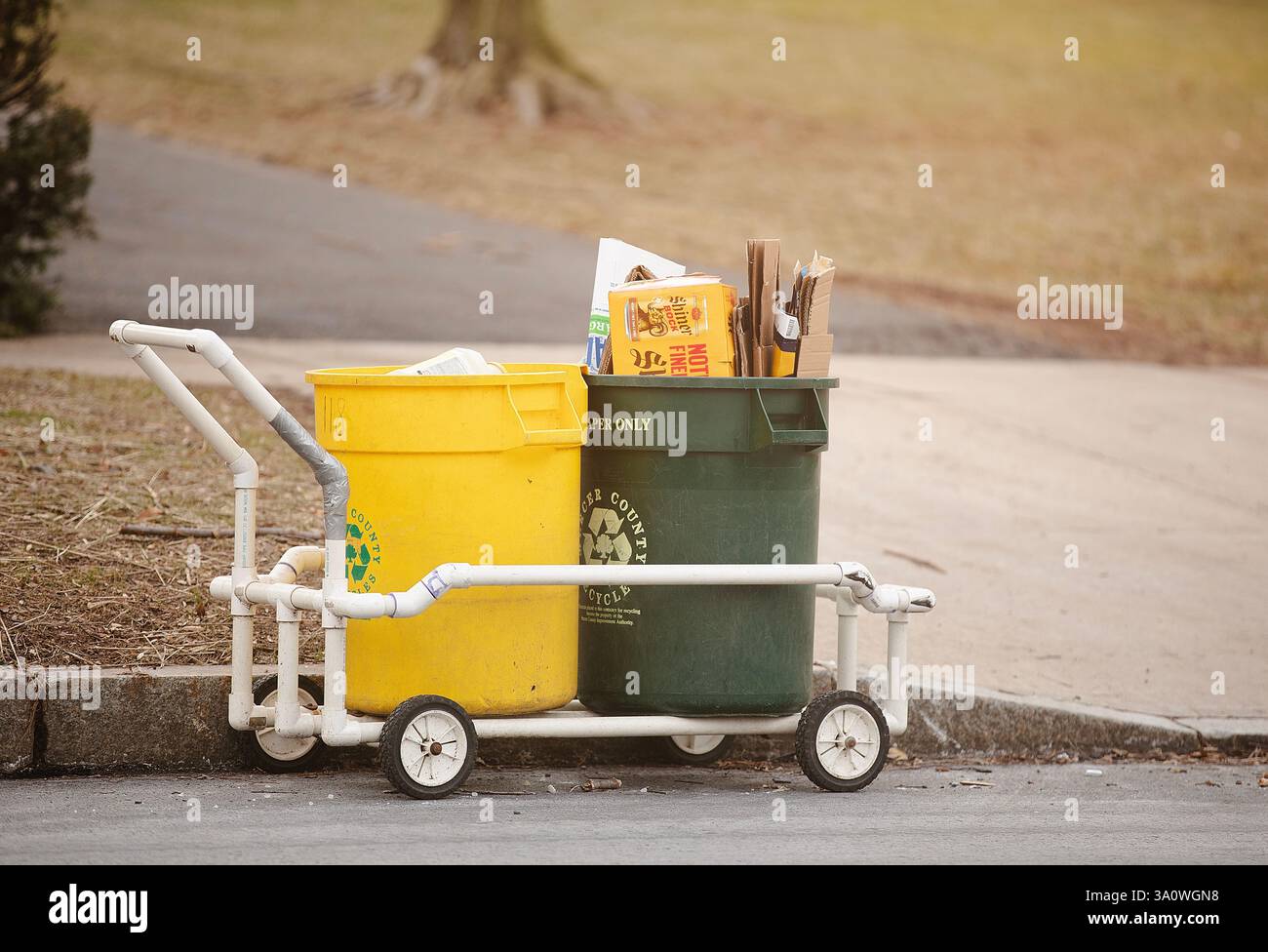 Contenitori riempiti per la raccolta differenziata dei rifiuti in un'area residenziale in una strada a Princeton, New Jersey, Stati Uniti, 23 febbraio. Foto Stock