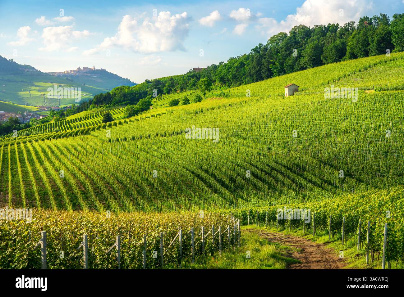 Vista dei vigneti delle Langhe e dei villaggi di Barolo e la Morra sullo sfondo, regione piemontese. Italia, Europa. Foto Stock