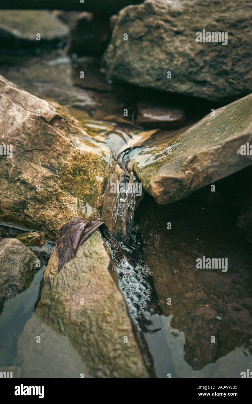 Bel ghiaccio e acqua presi nell'inverno canadese. Prelevato da una cascata in una foresta. Foto Stock